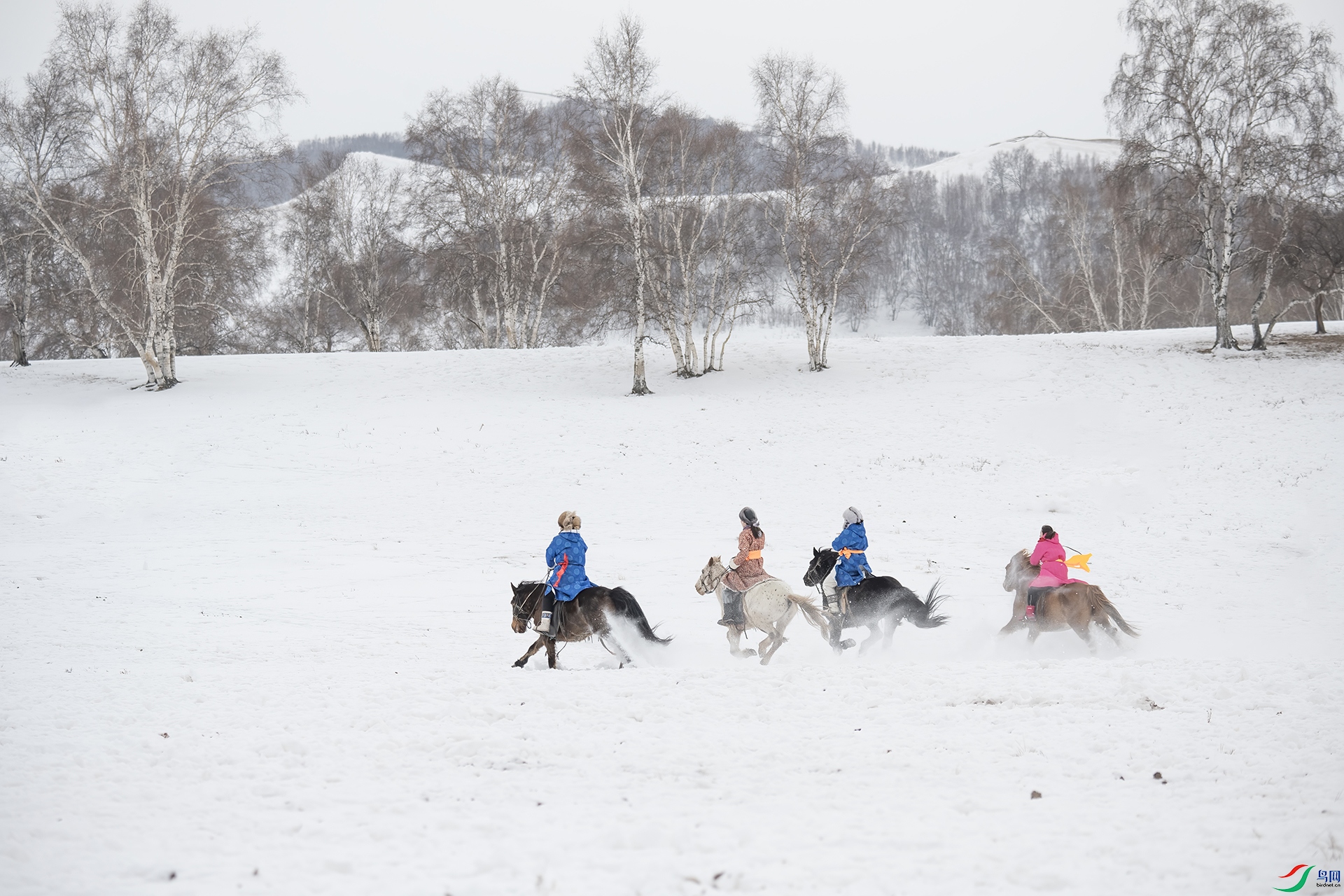 DSC_3538- Ů����.jpg