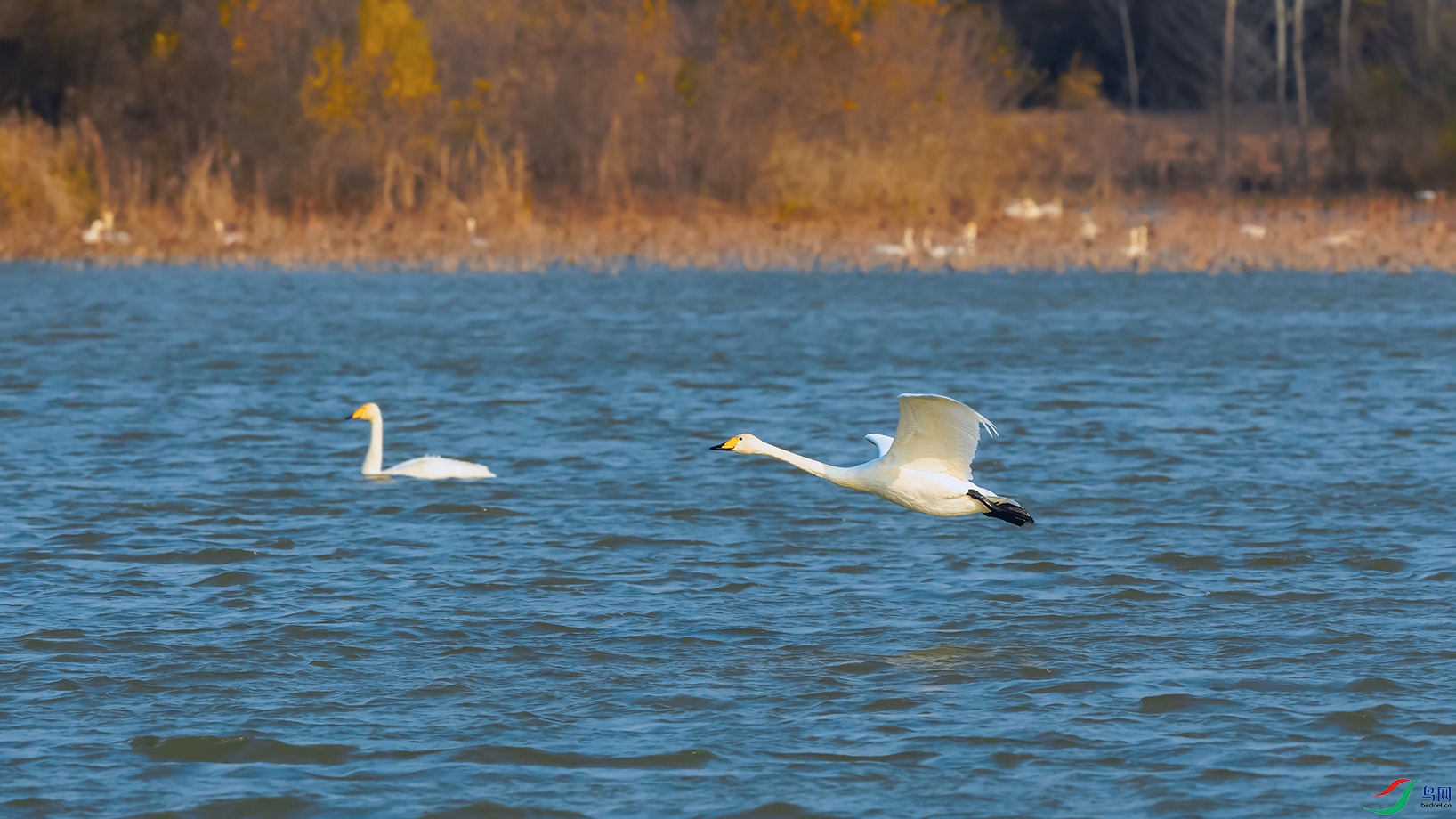 DSC_4840_DxOa.jpg