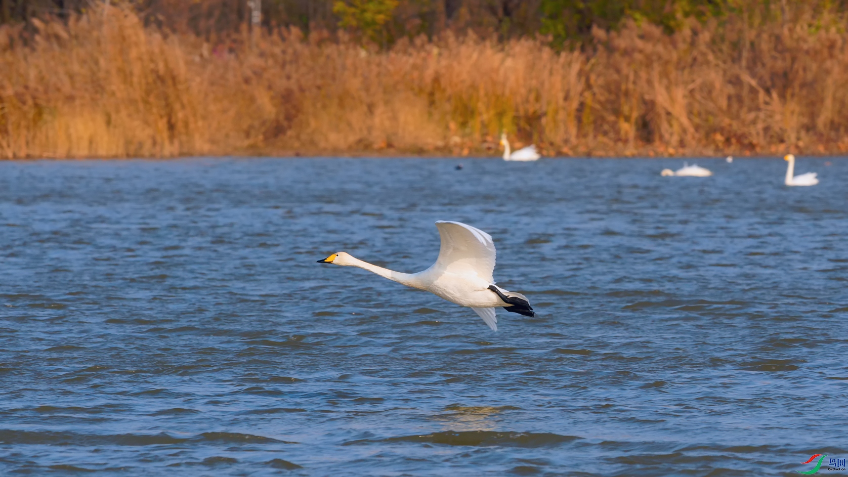 DSC_4849_DxOa.jpg