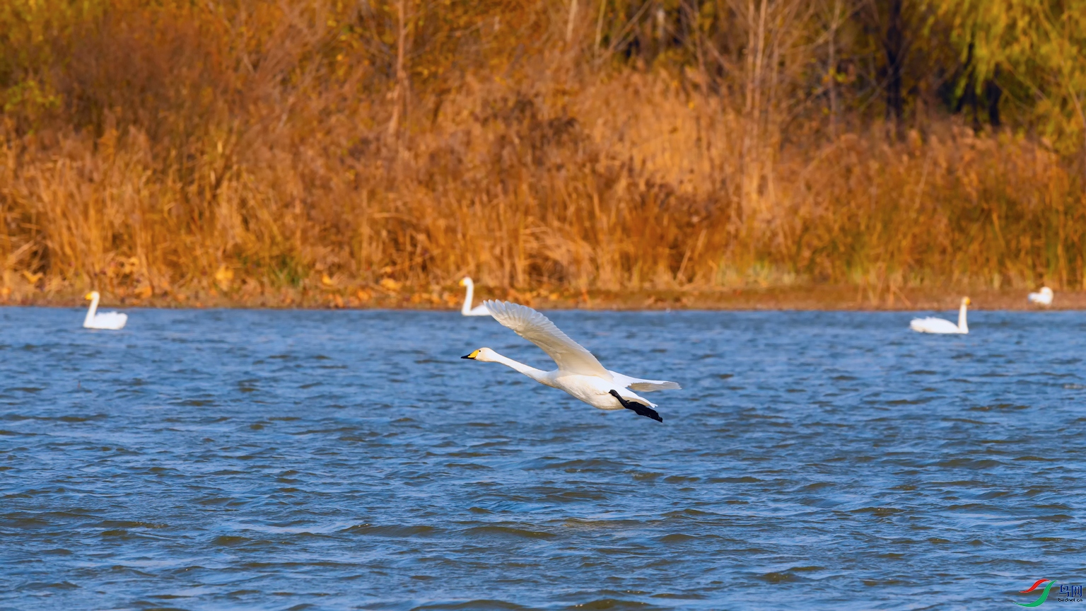 DSC_4862_DxOa.jpg