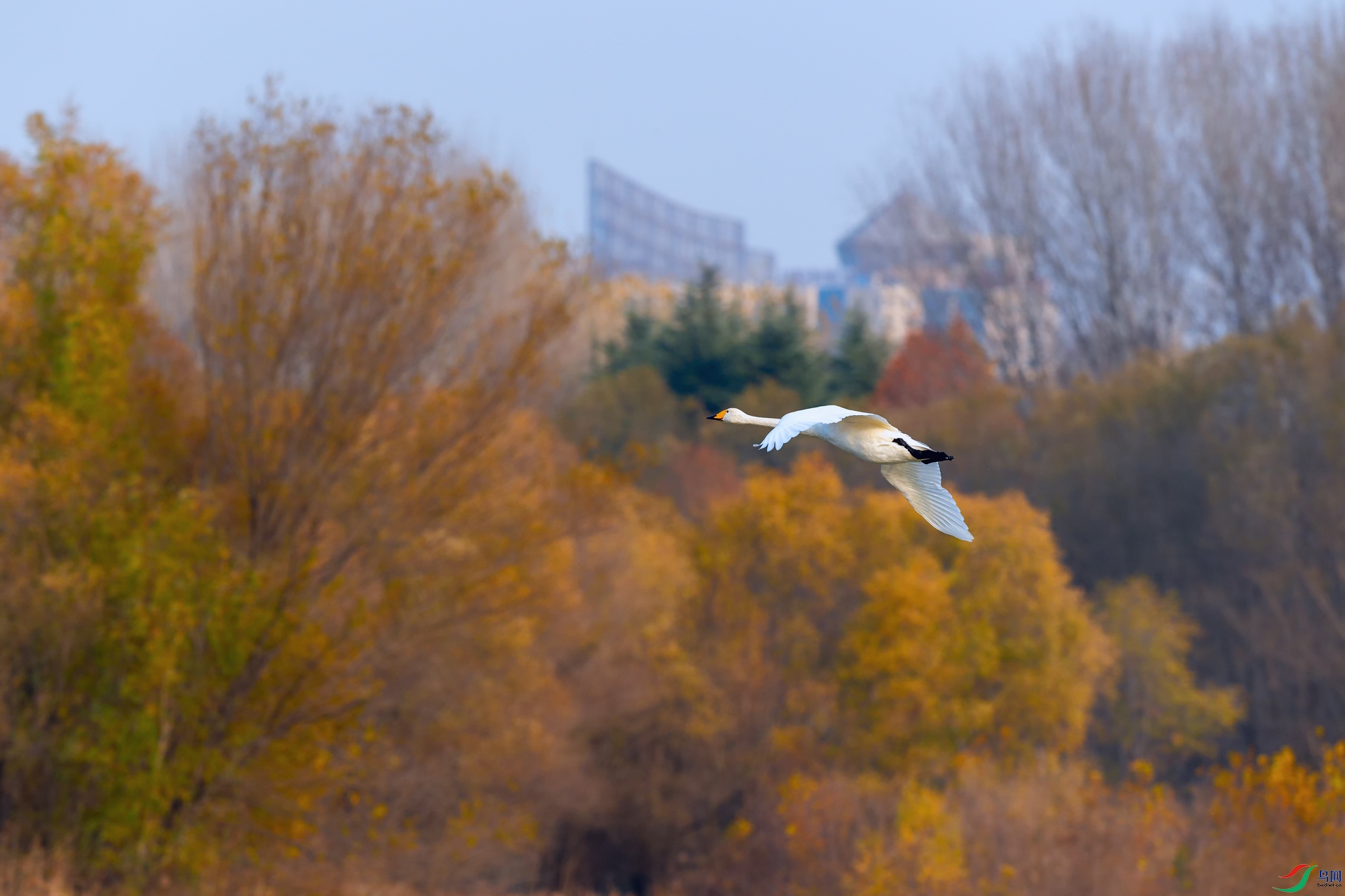DSC_4991_DxOa.jpg
