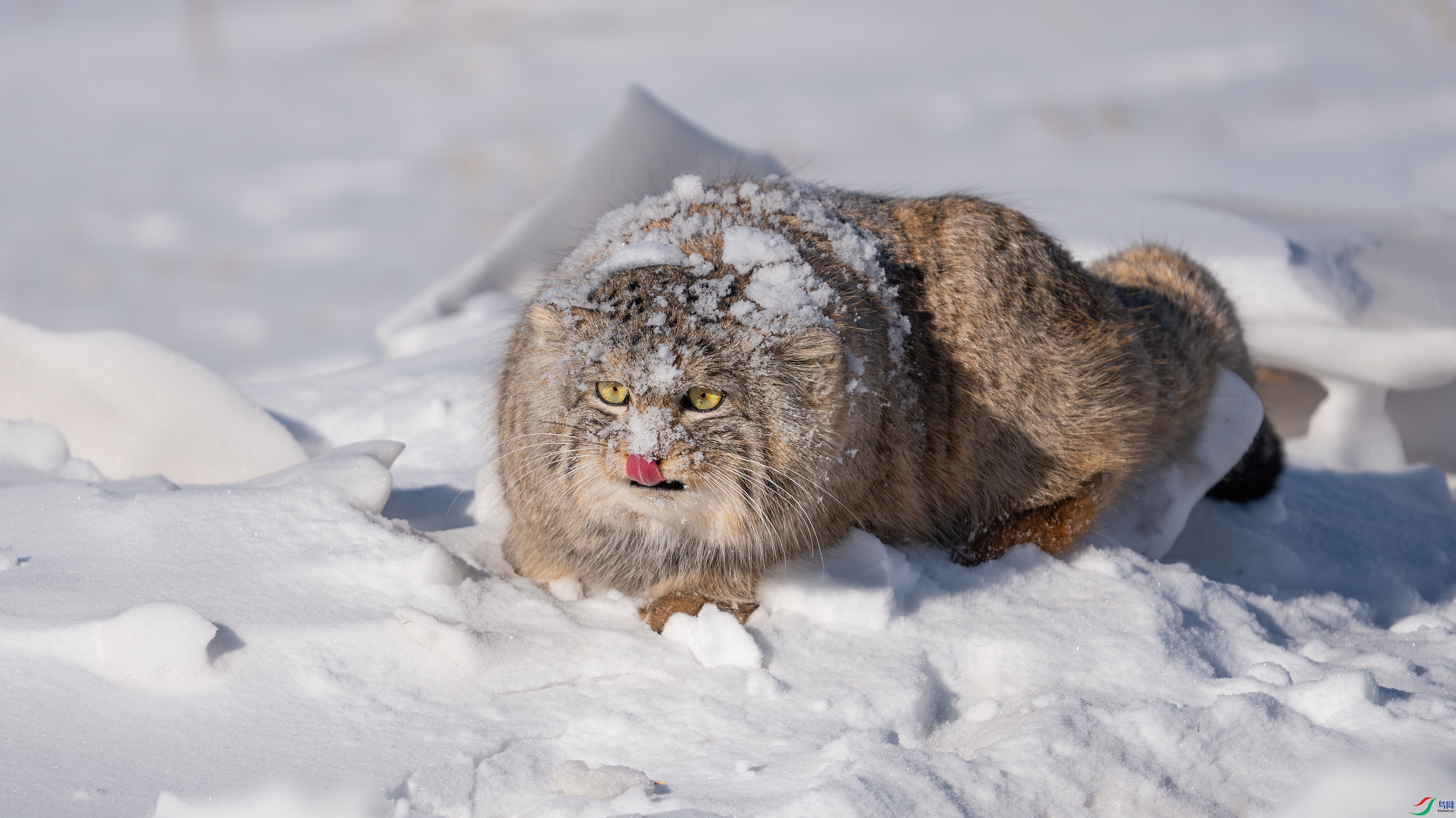 _DSC0133 ����.jpg