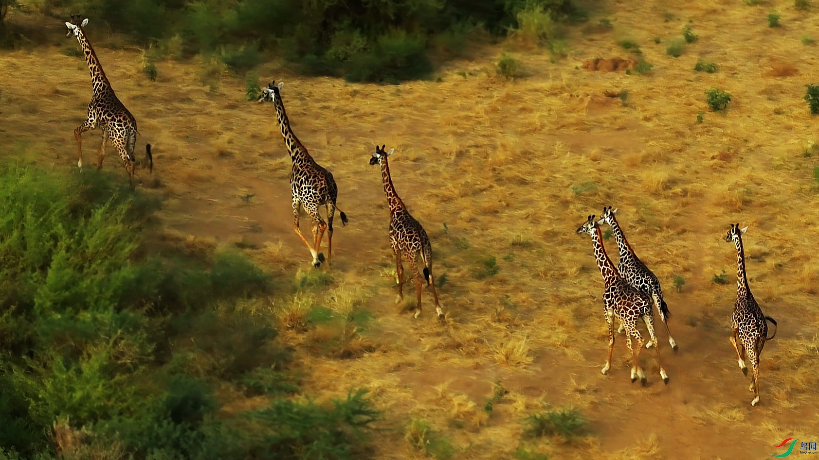 {42618502-09F6-462D-9AAF-AF4AB45BF71A} ����.jpg