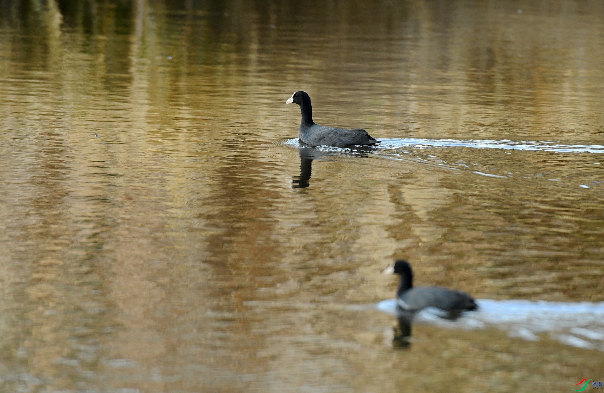 DSC_4690.jpg