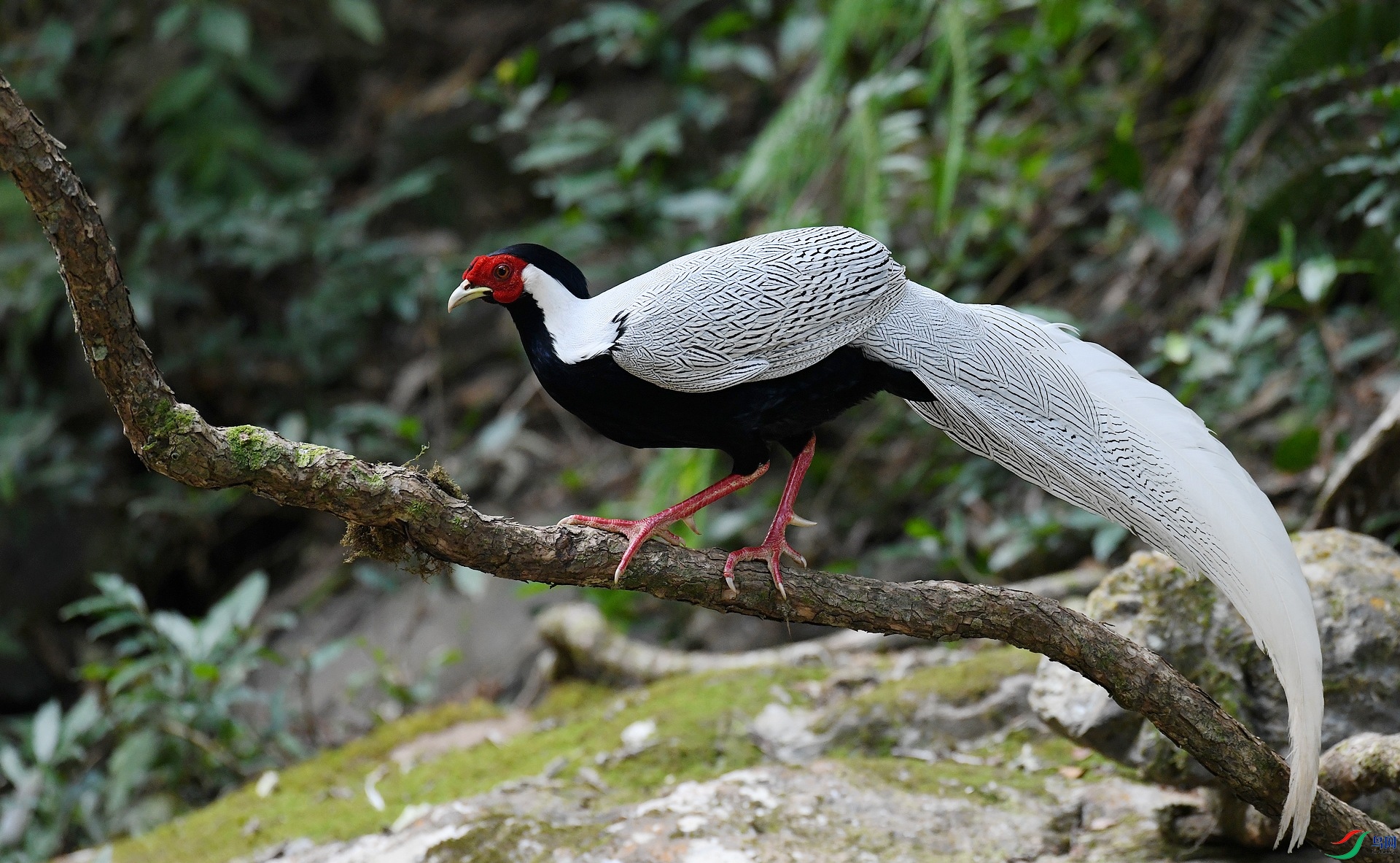 DSC_4868.jpg