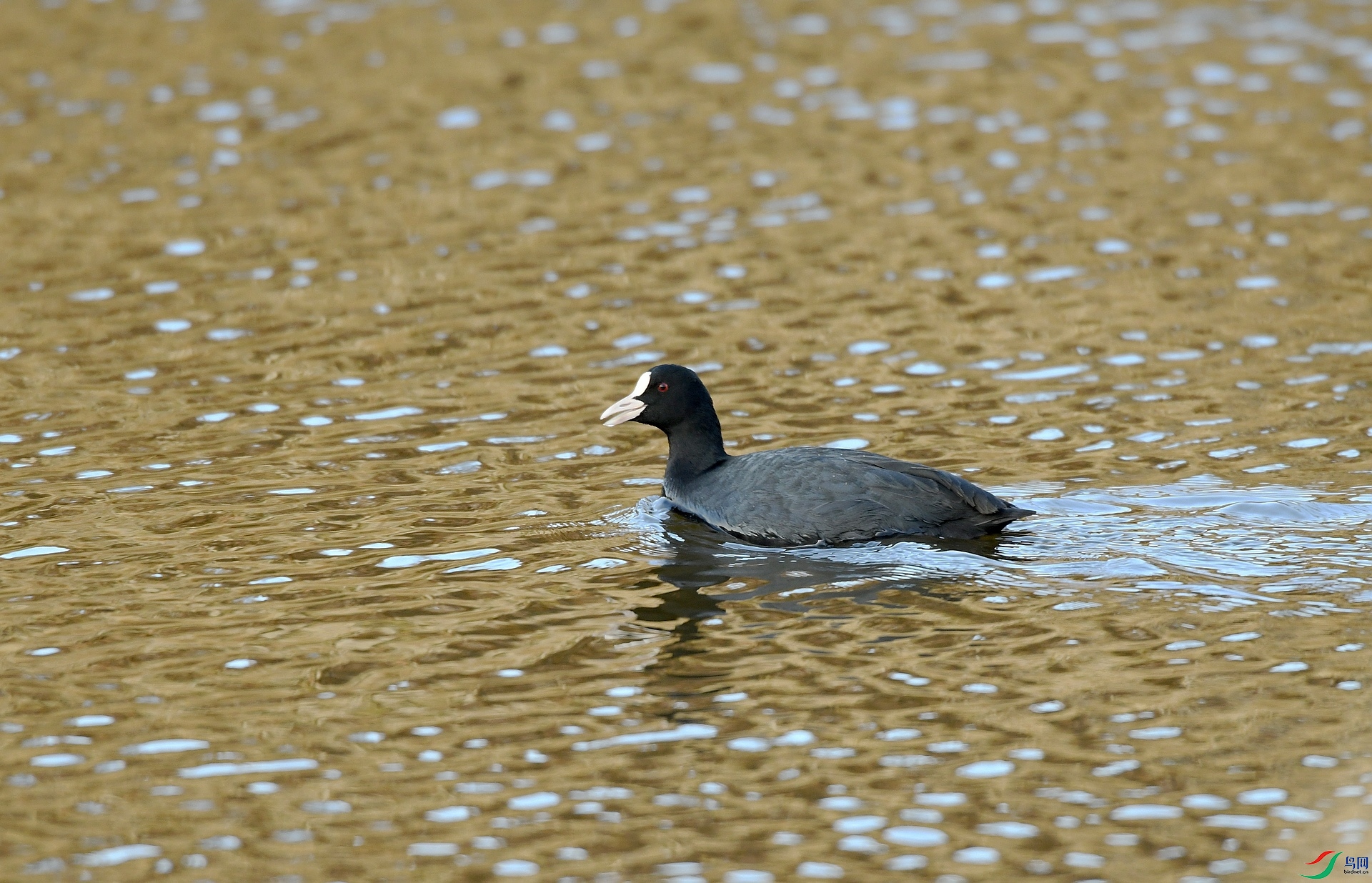 DSC_4677.jpg