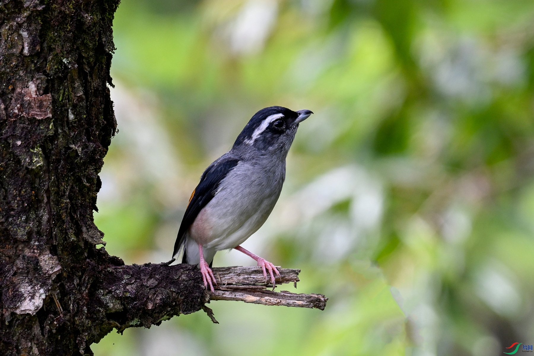 DSC_1468.JPG