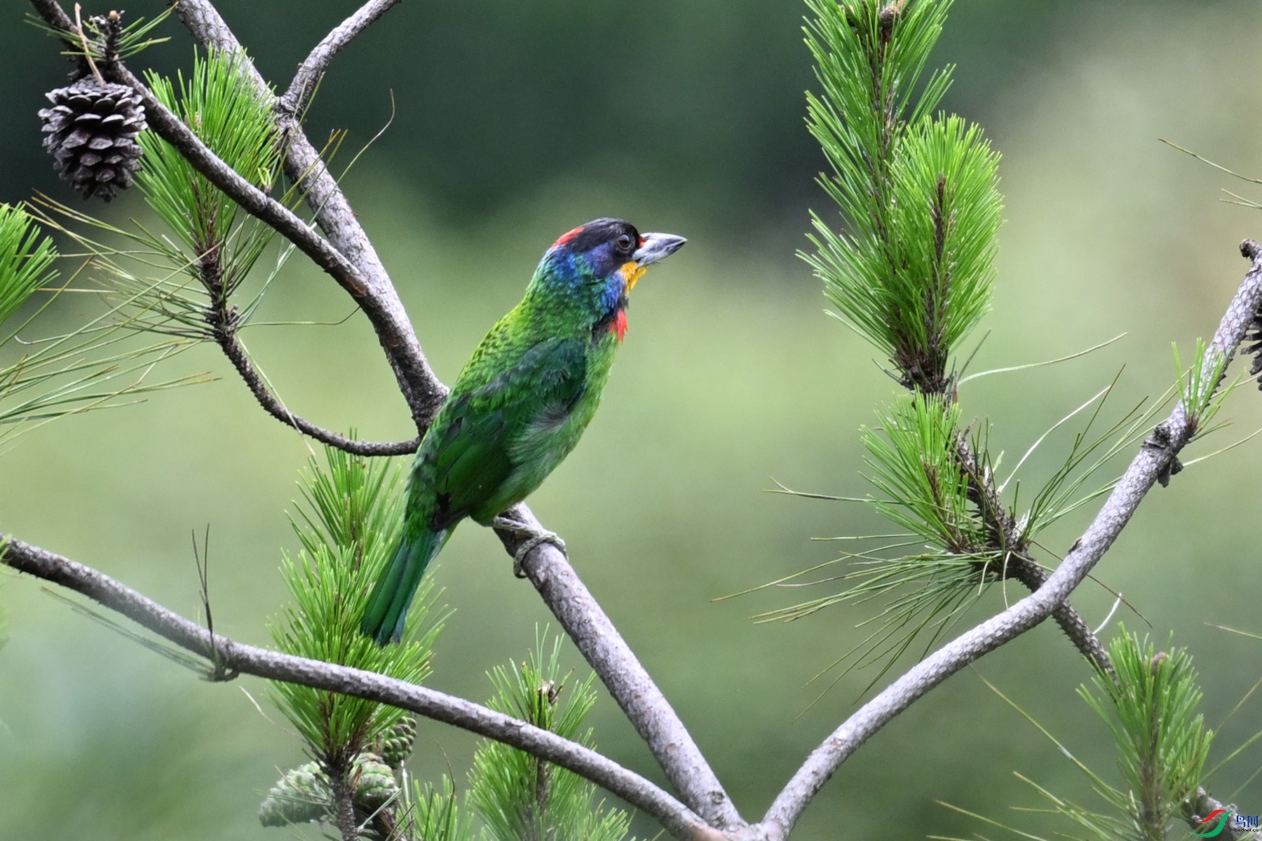 DSC_1689.JPG