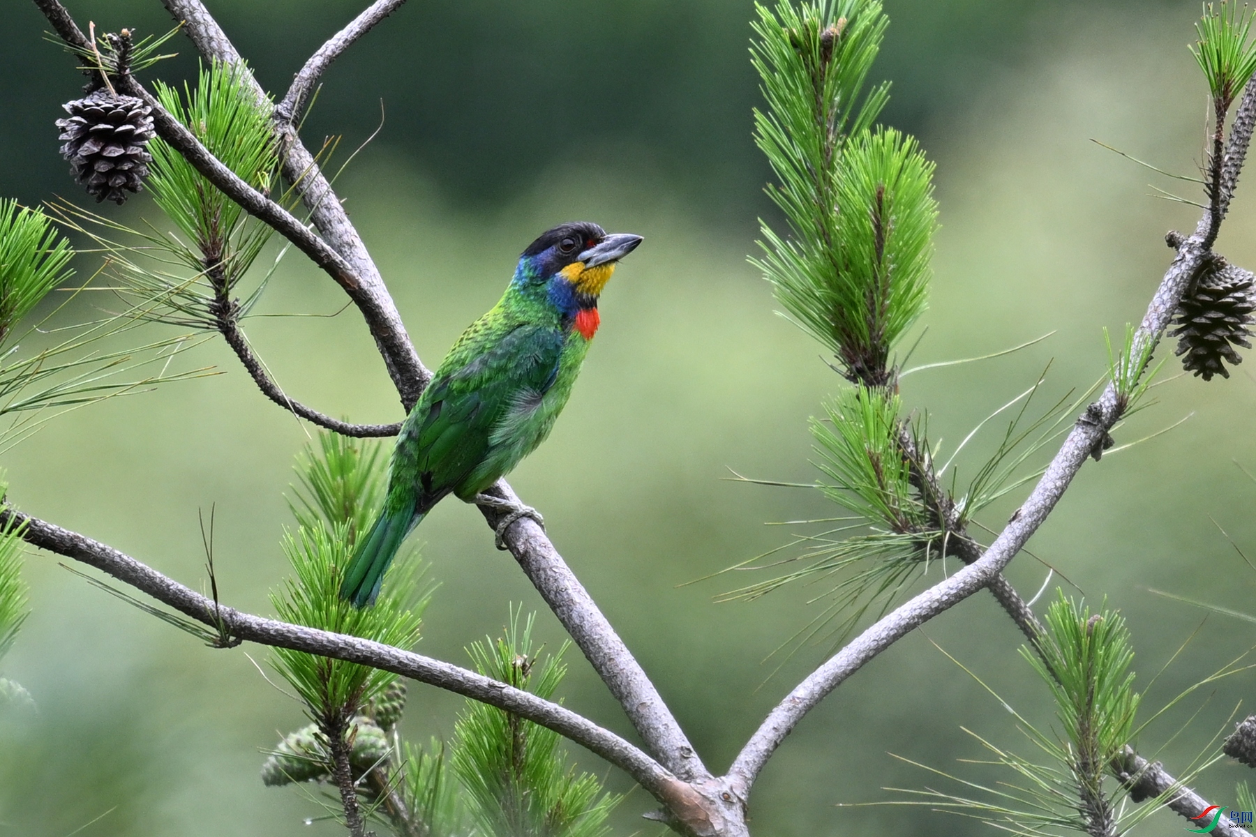 DSC_1693.JPG