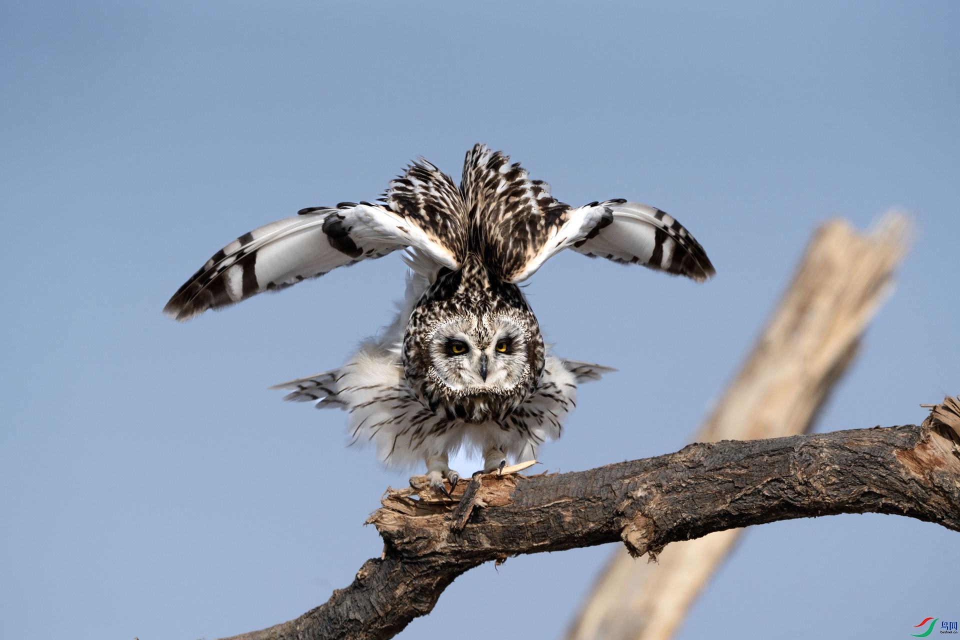 �ÿ��� ����.jpg