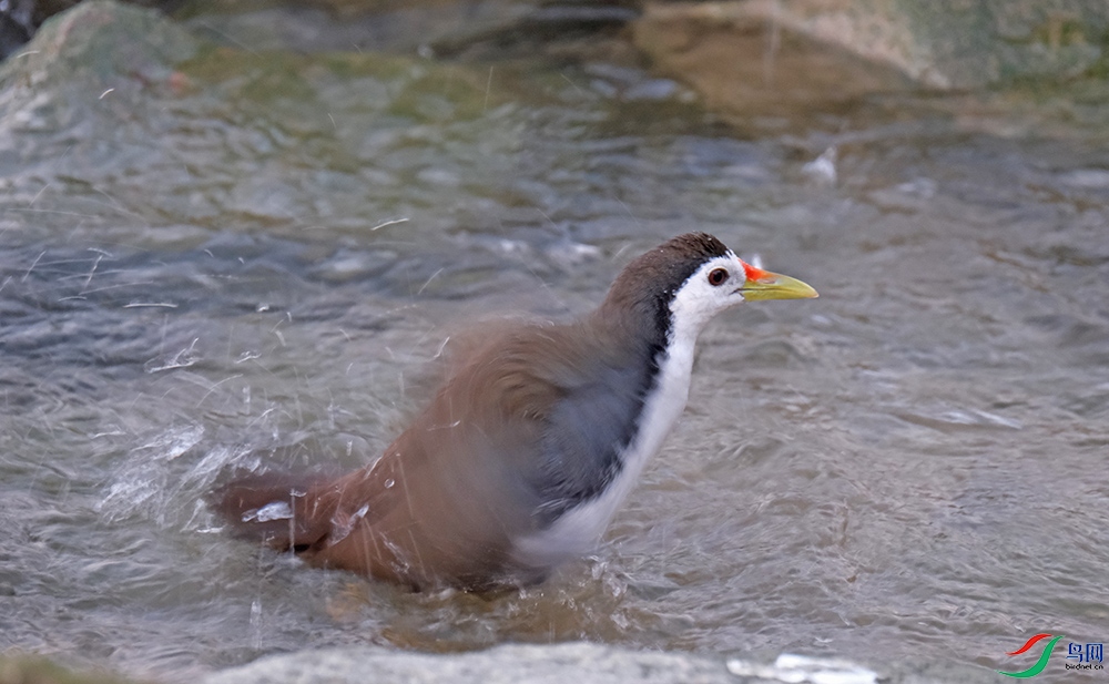 DSCF7997.1.jpg