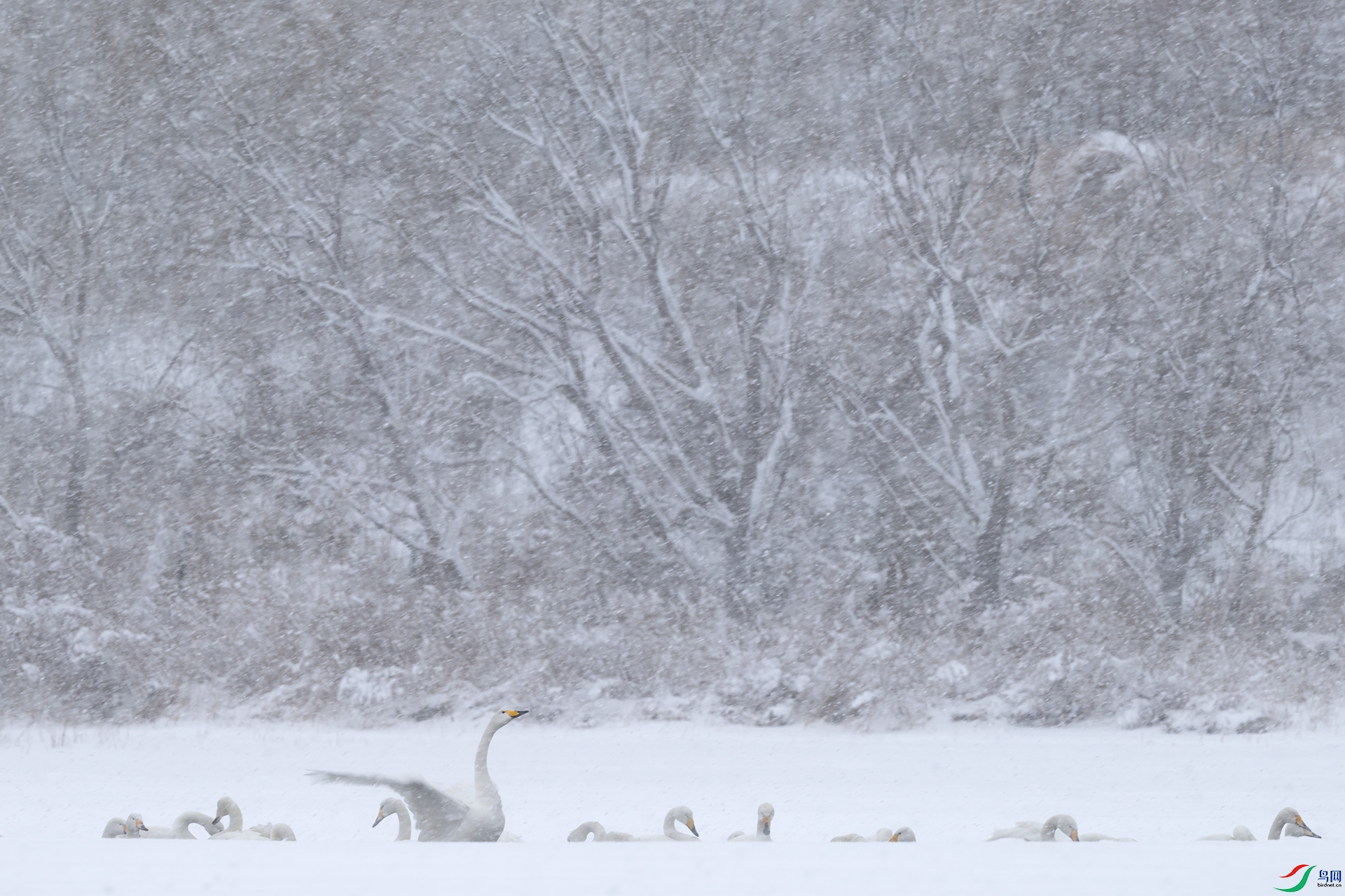 _DSC5398-DxO_DeepPRIME 3-1.jpg