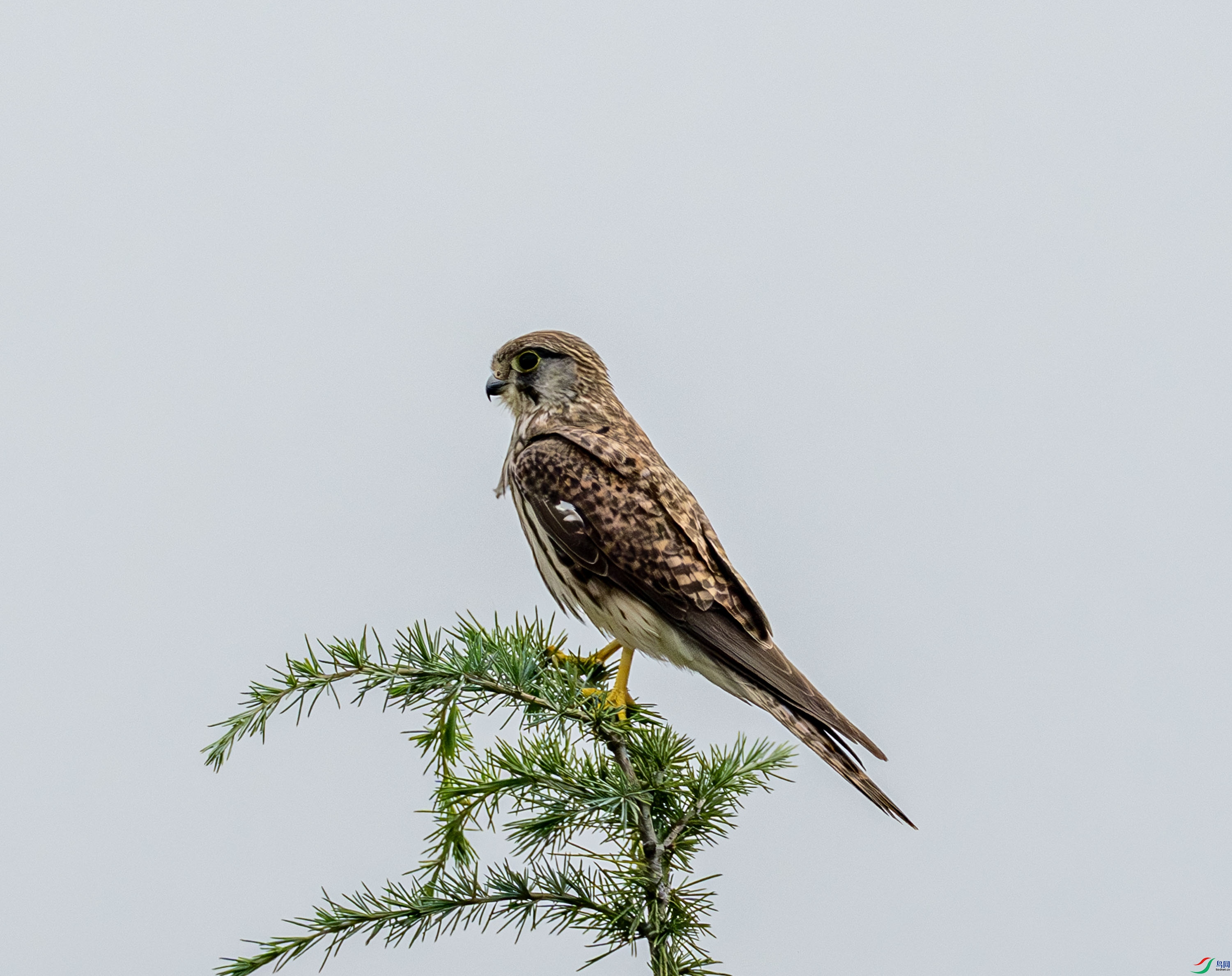 ����-4.jpg