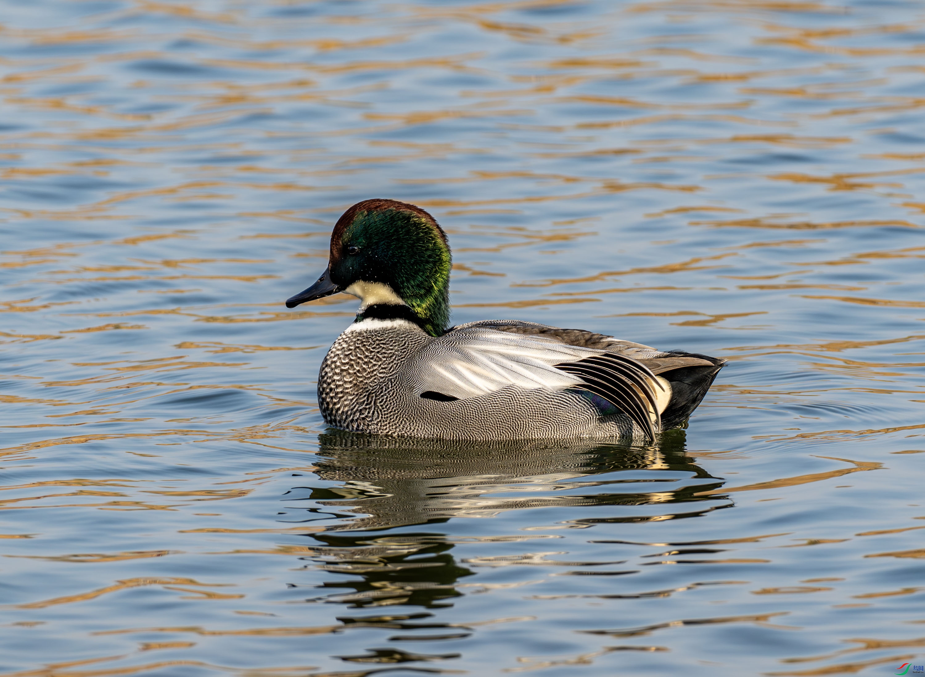 ����Ѽ-01-1 (15).jpg