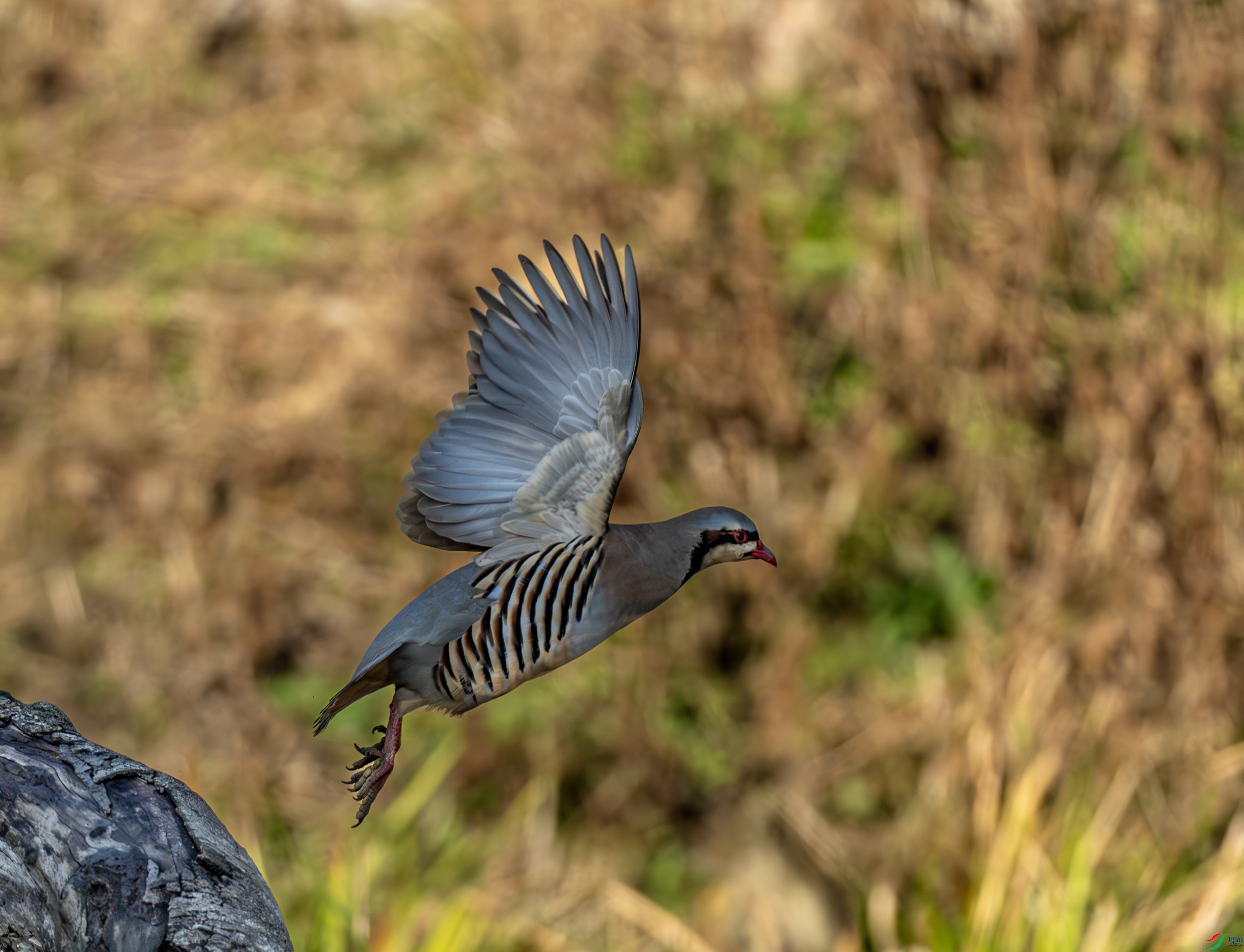 ʯ��-01-1.jpg