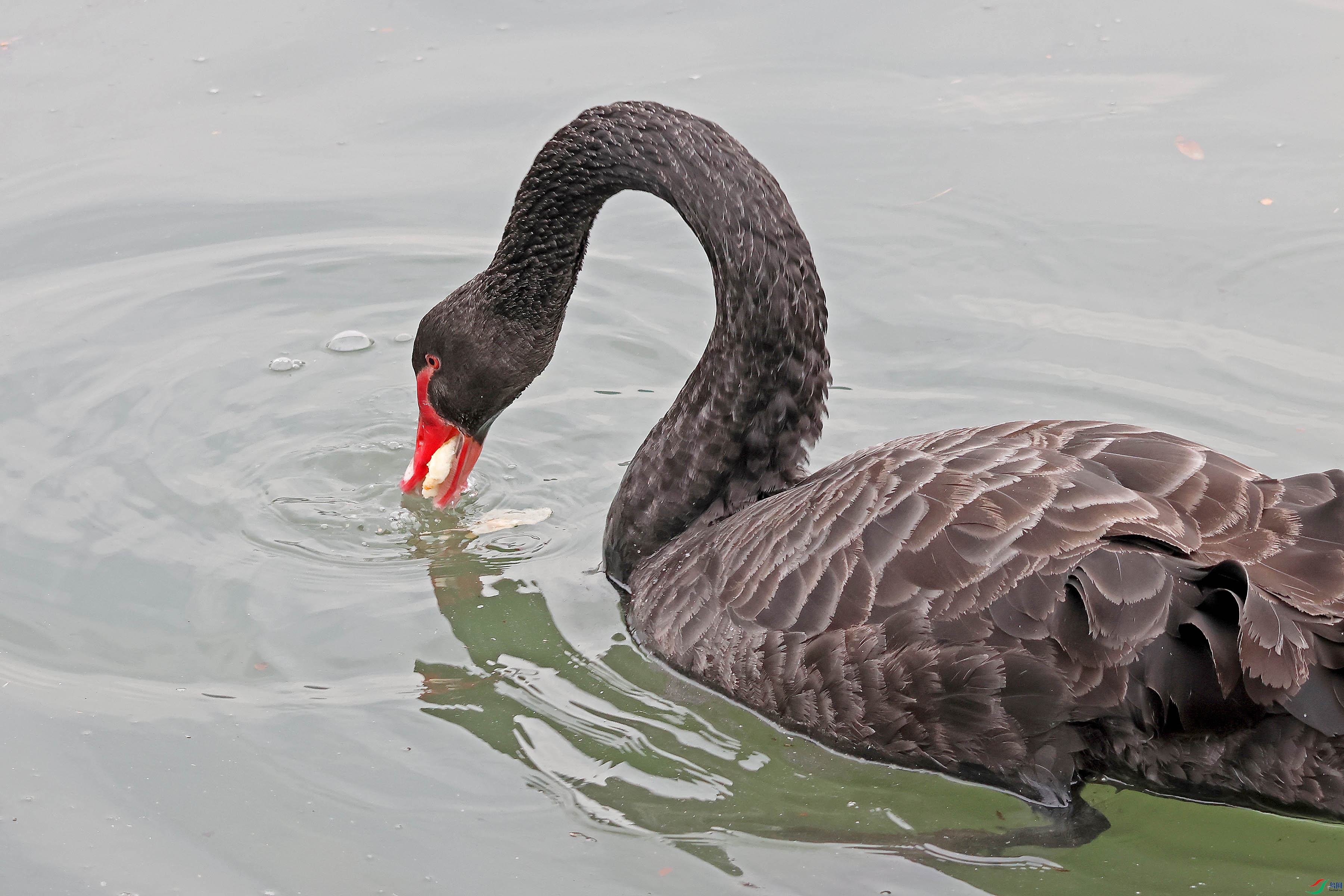 2G9A0899.JPG
