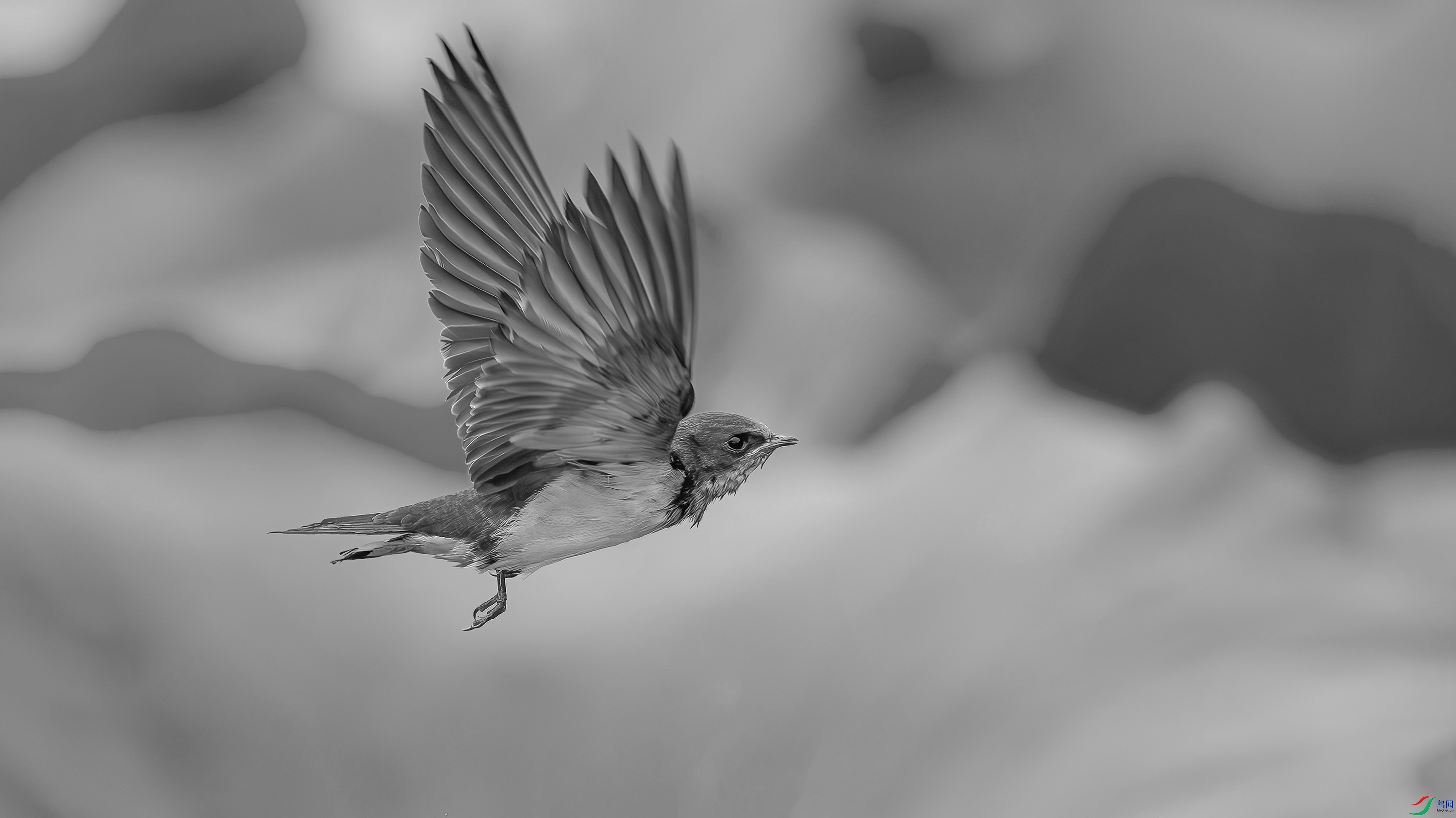DSC03764H.jpg