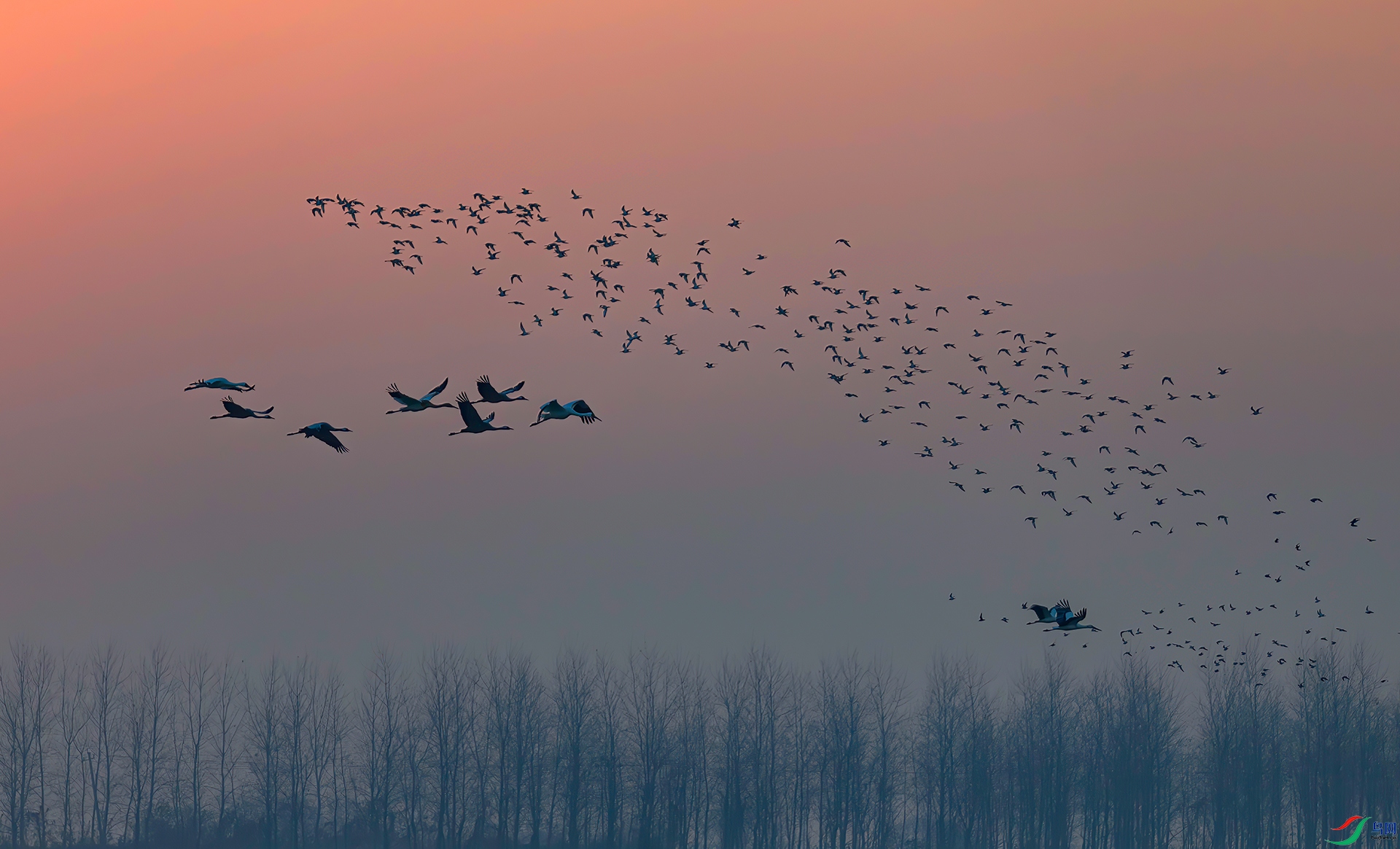 _60A7818------33-  .jpg