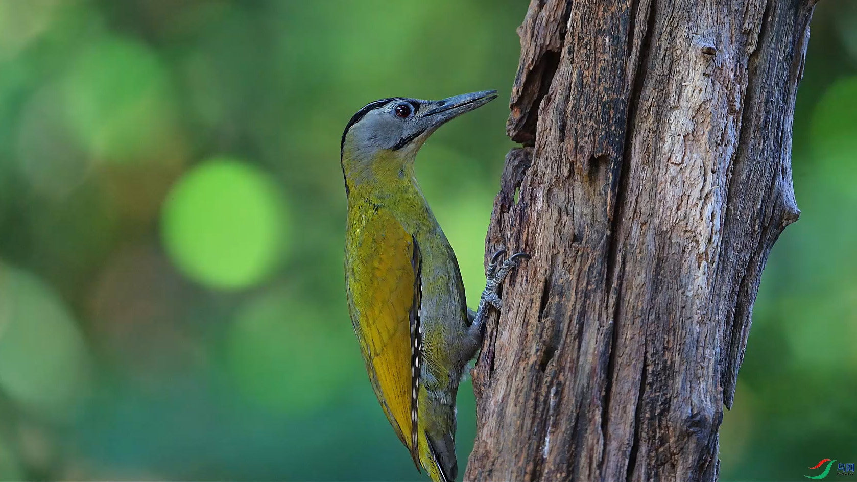 {B911541D-A5C1-4115-B41E-A209740C240C} ����.jpg