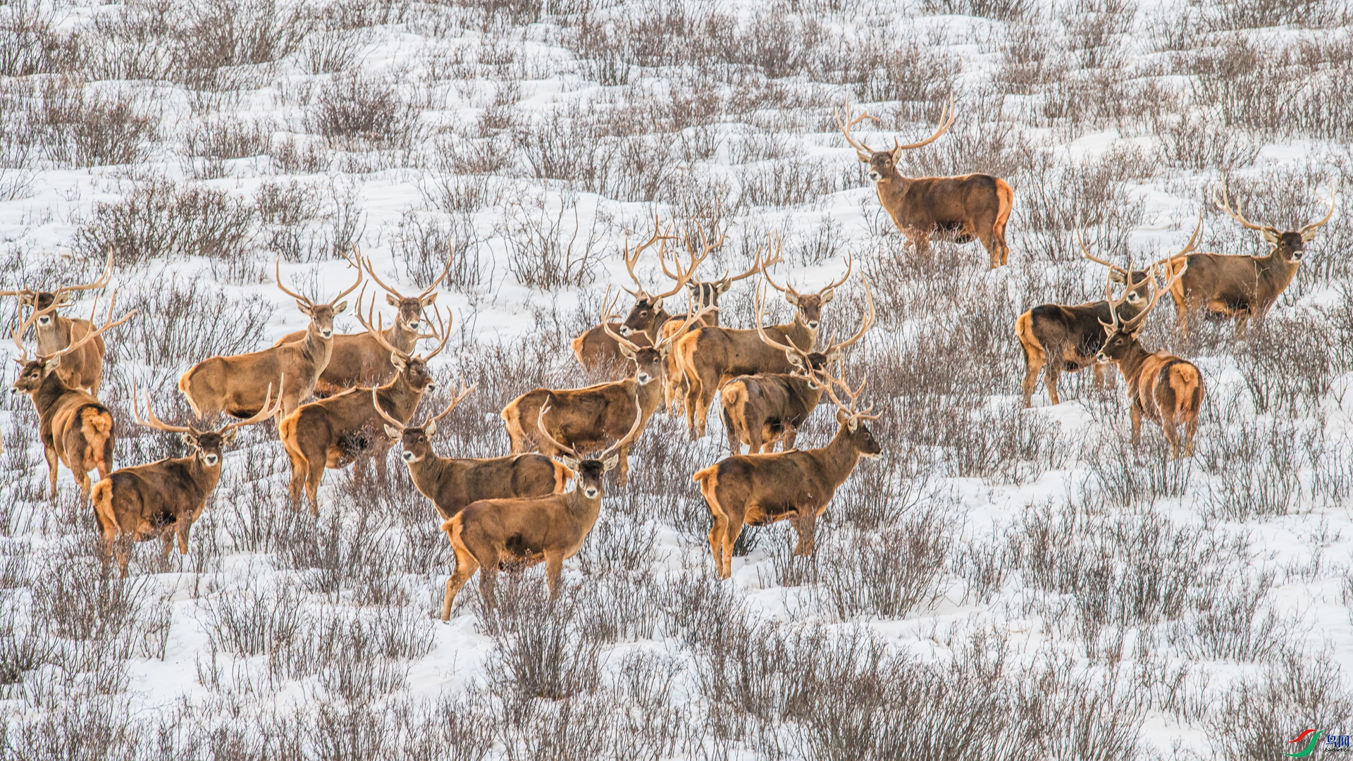 _DSC8461 ����.jpg