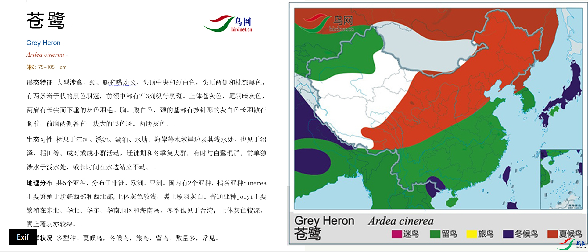 203906ojjjp9cq63ro1jqj.png