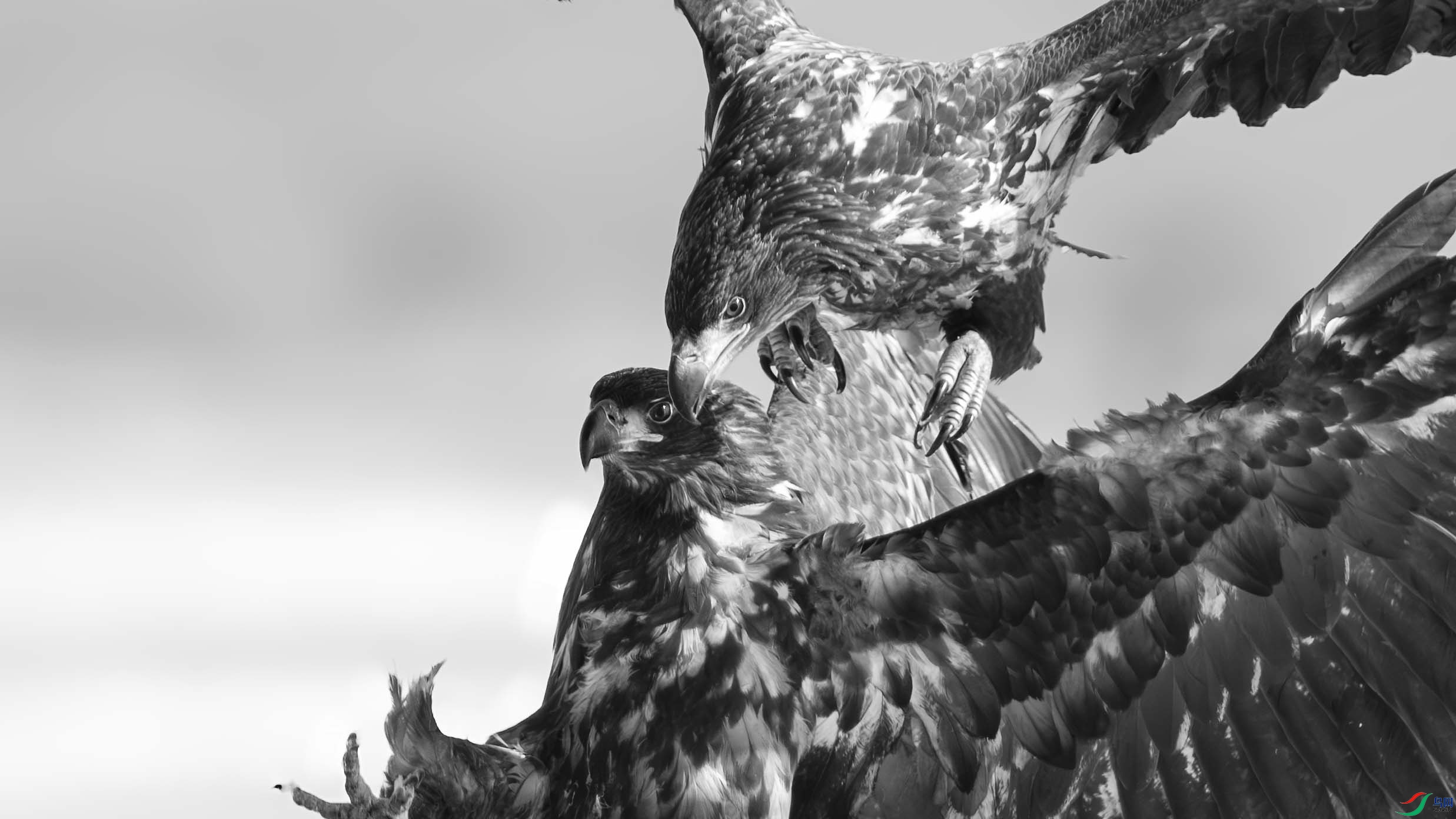 1DS_1615 ����_����.jpg