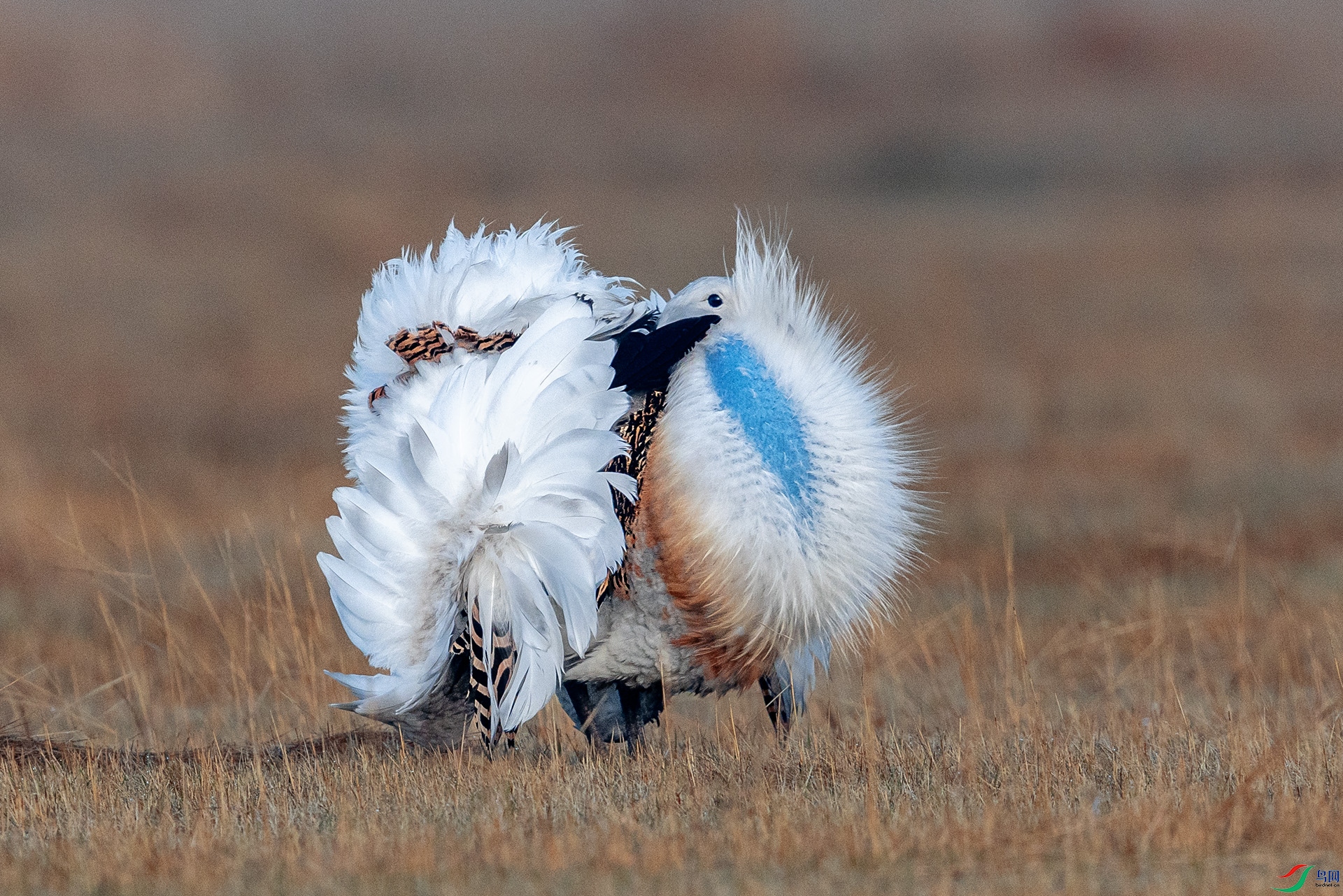 227A5255 ����.jpg