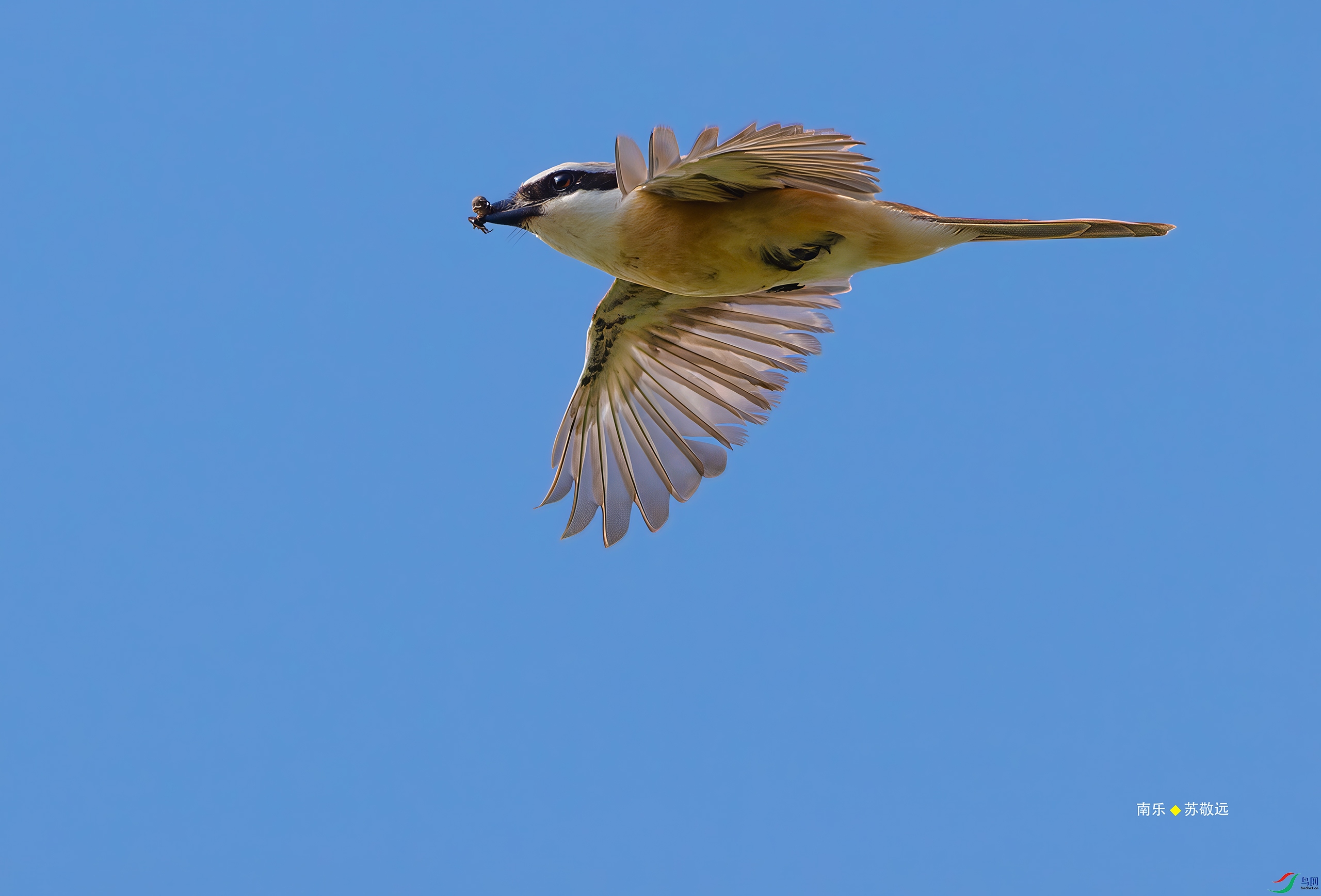 _DSC0657-DxO_С.jpg