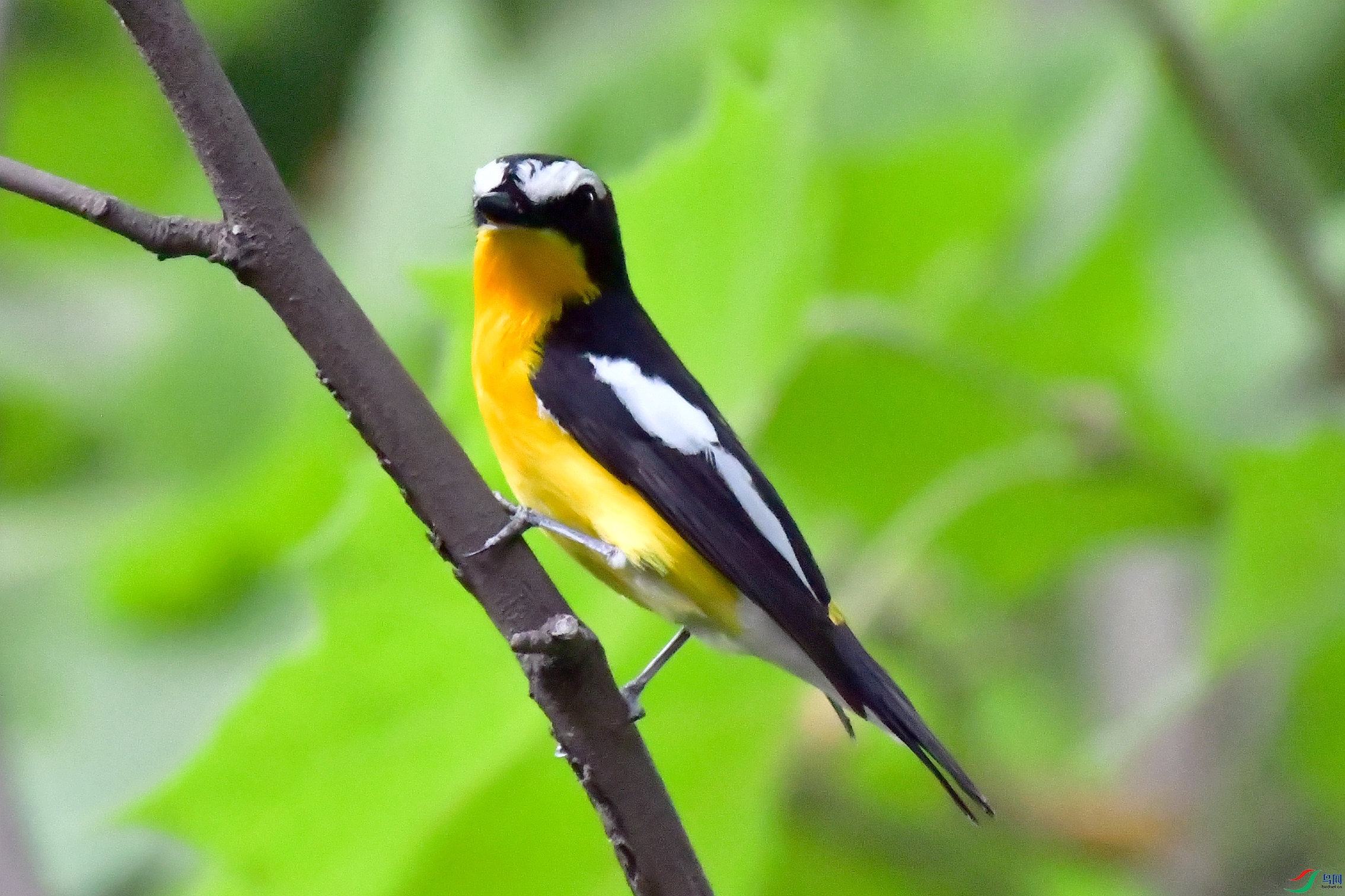 DSC_8867.JPG