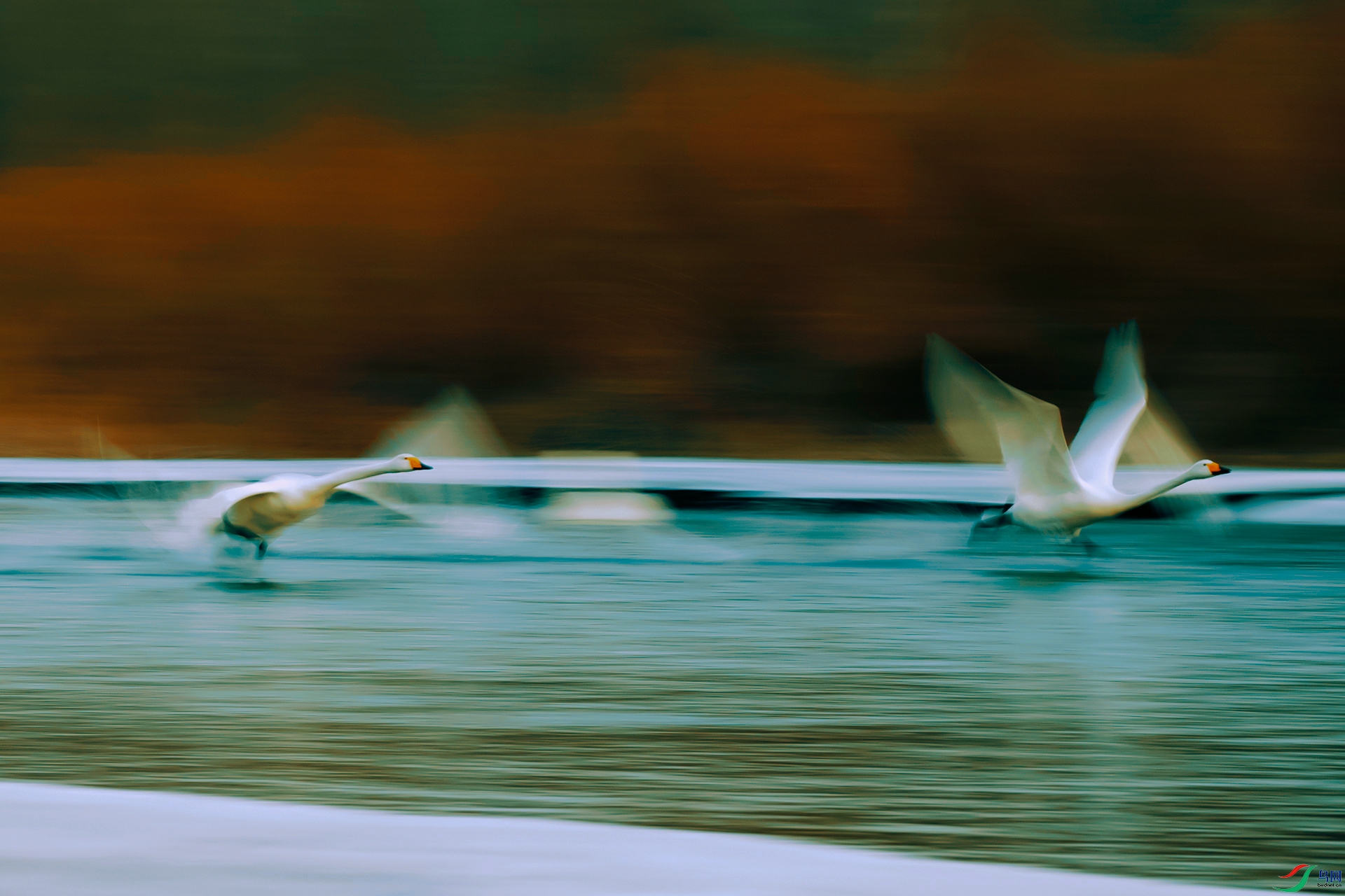 DSC07269 ����_polarr.jpeg