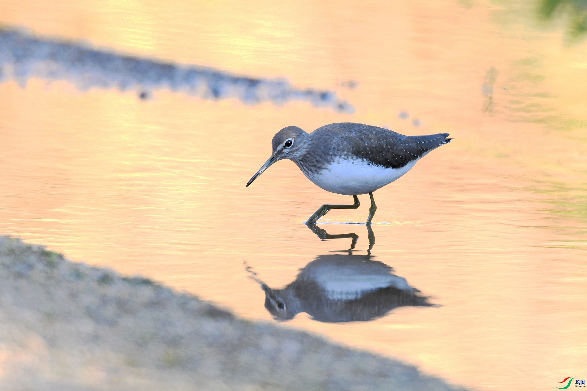 DSC_4040.jpg