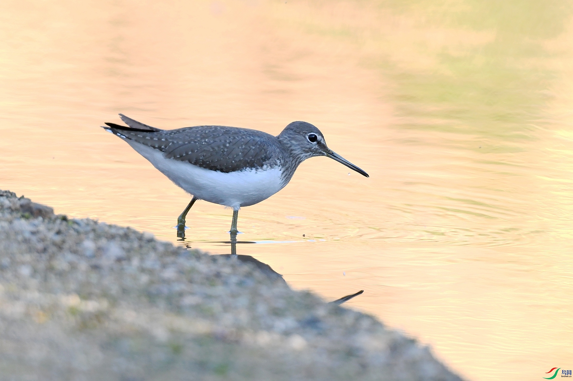 DSC_4014.jpg