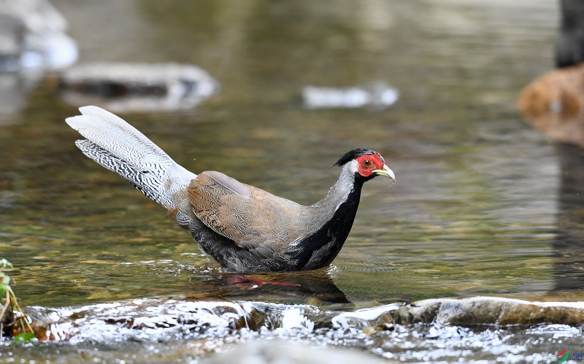 DSC_5390.jpg