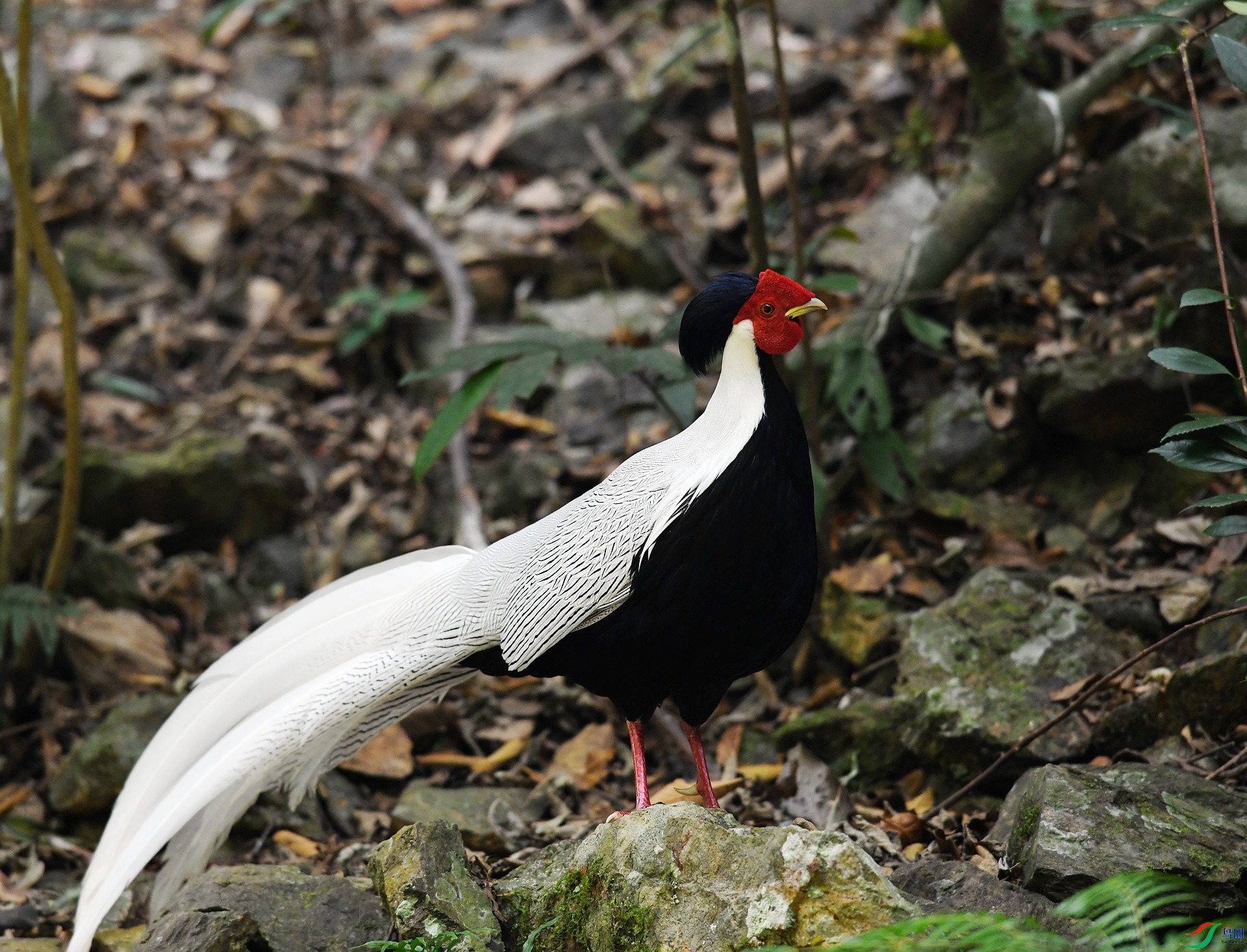 DSC_5406.jpg