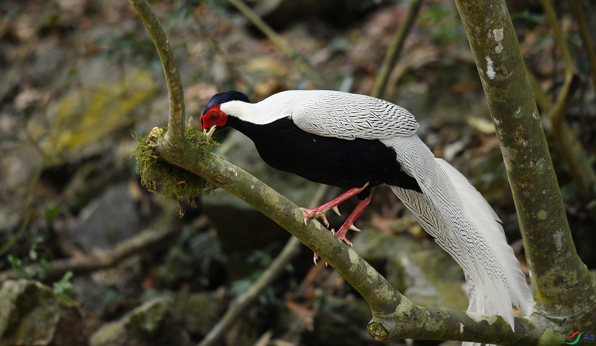 DSC_5026.jpg