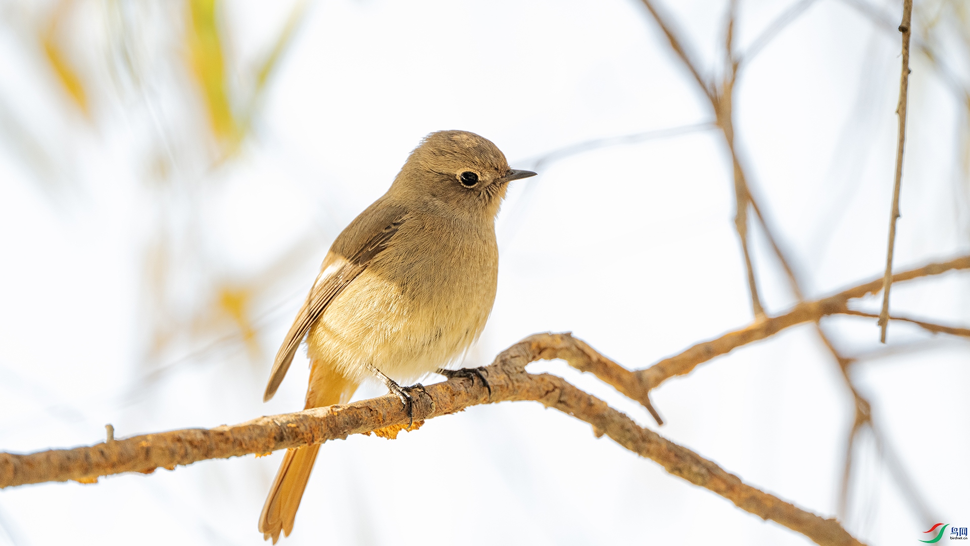 DSC_6774 ����.jpg