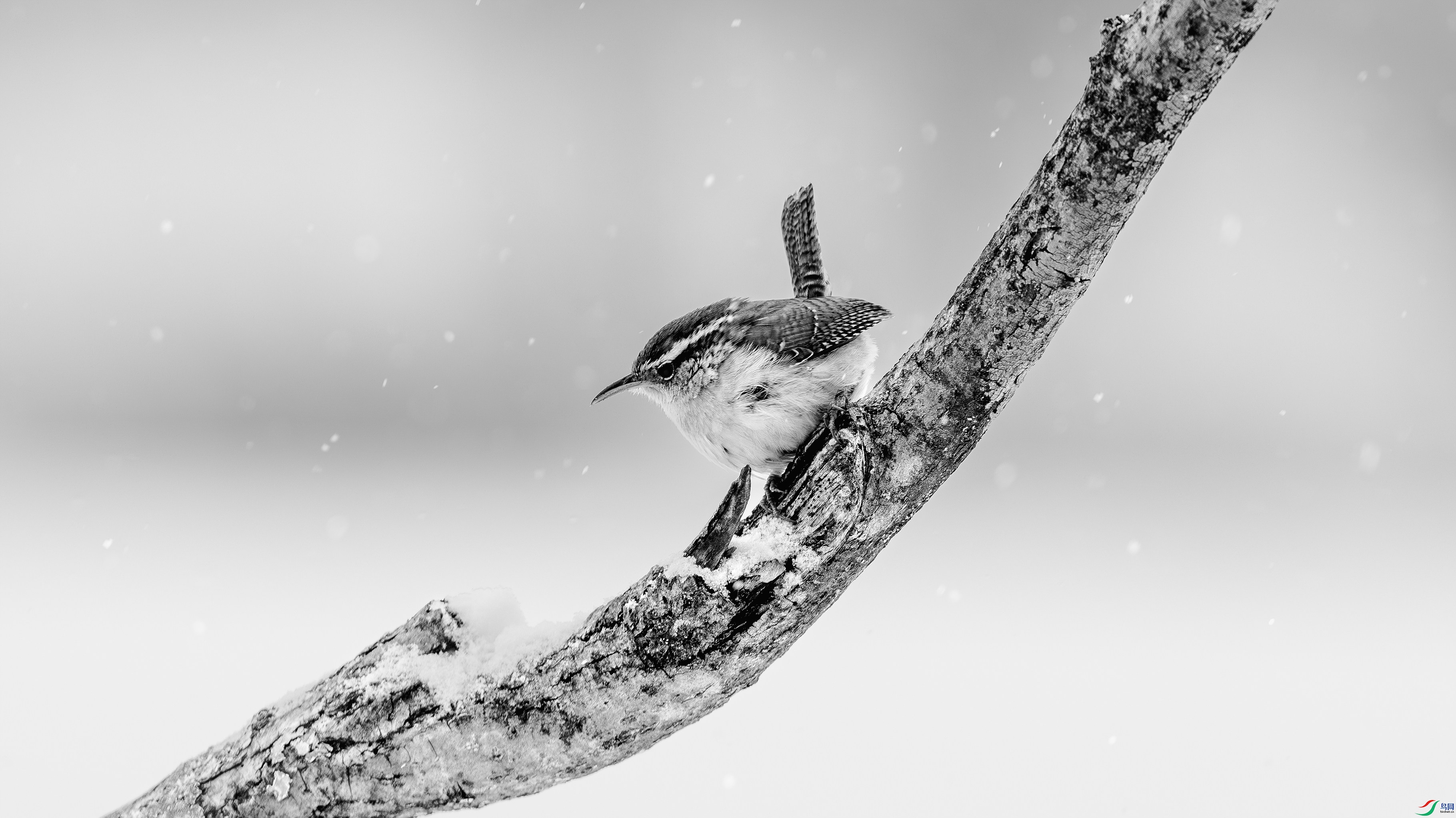 412A2848-1-2_����=00.jpg