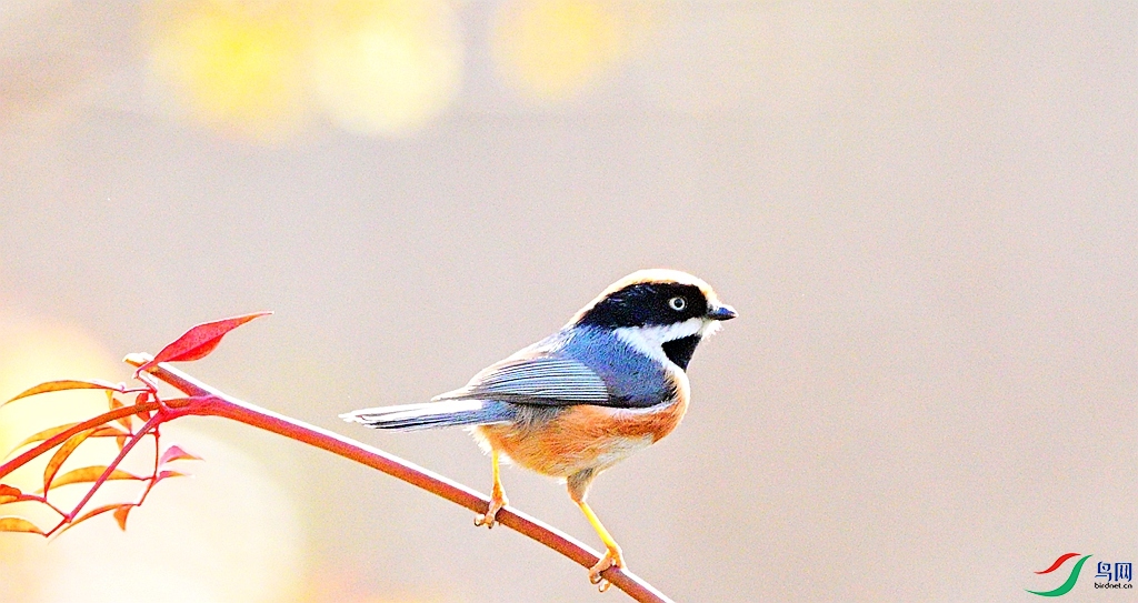 DSC_1493.JPG