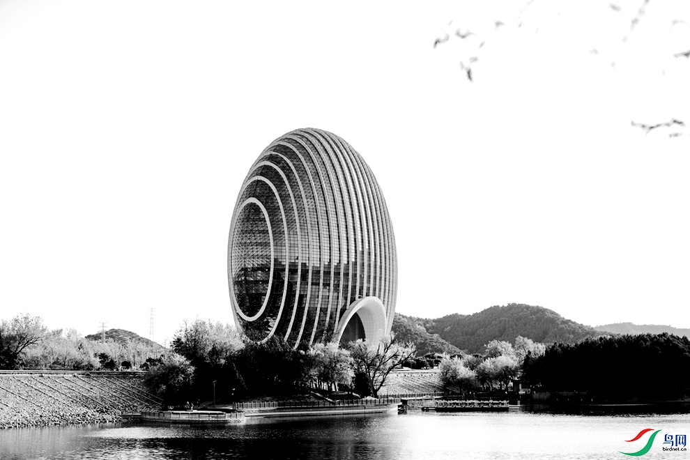 BK2A9214.JPG