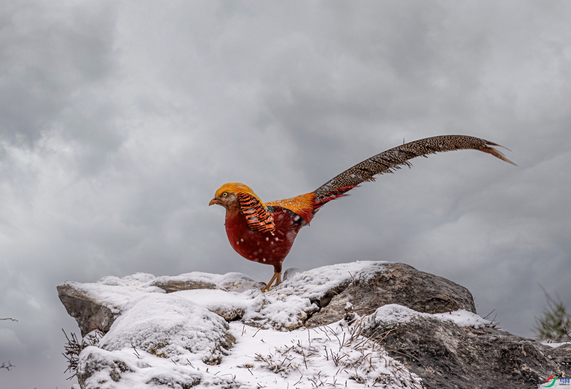 DSC_2110-21.jpg