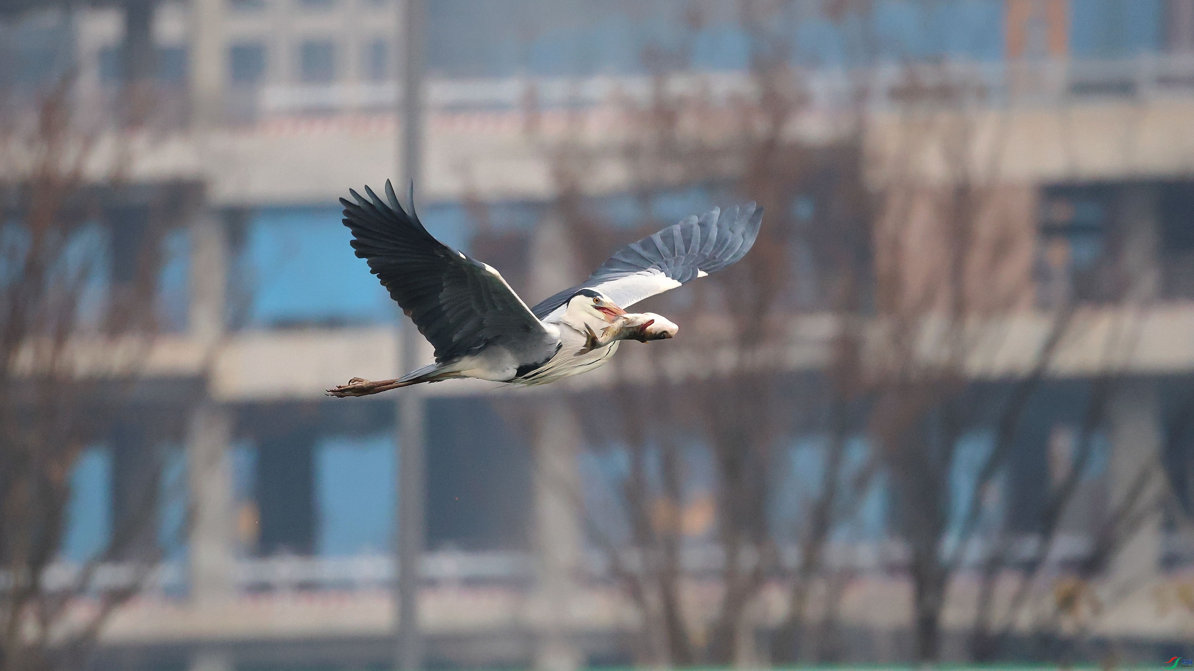 IMG_6690.JPG