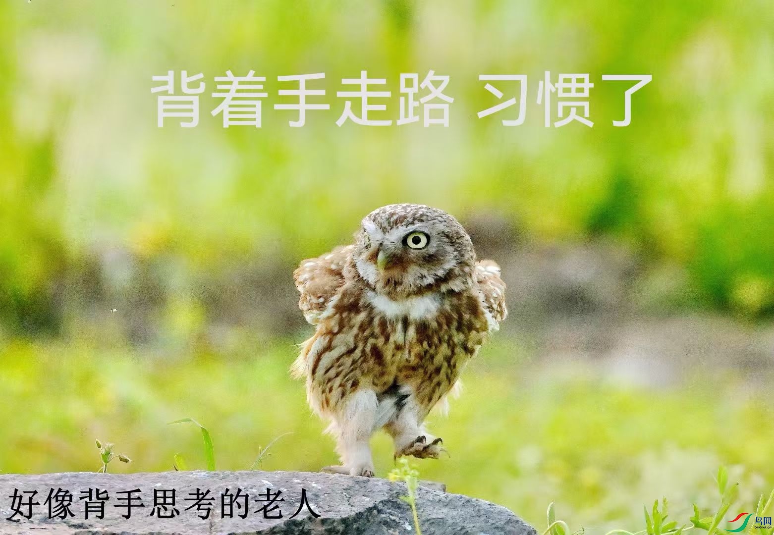 ˼����