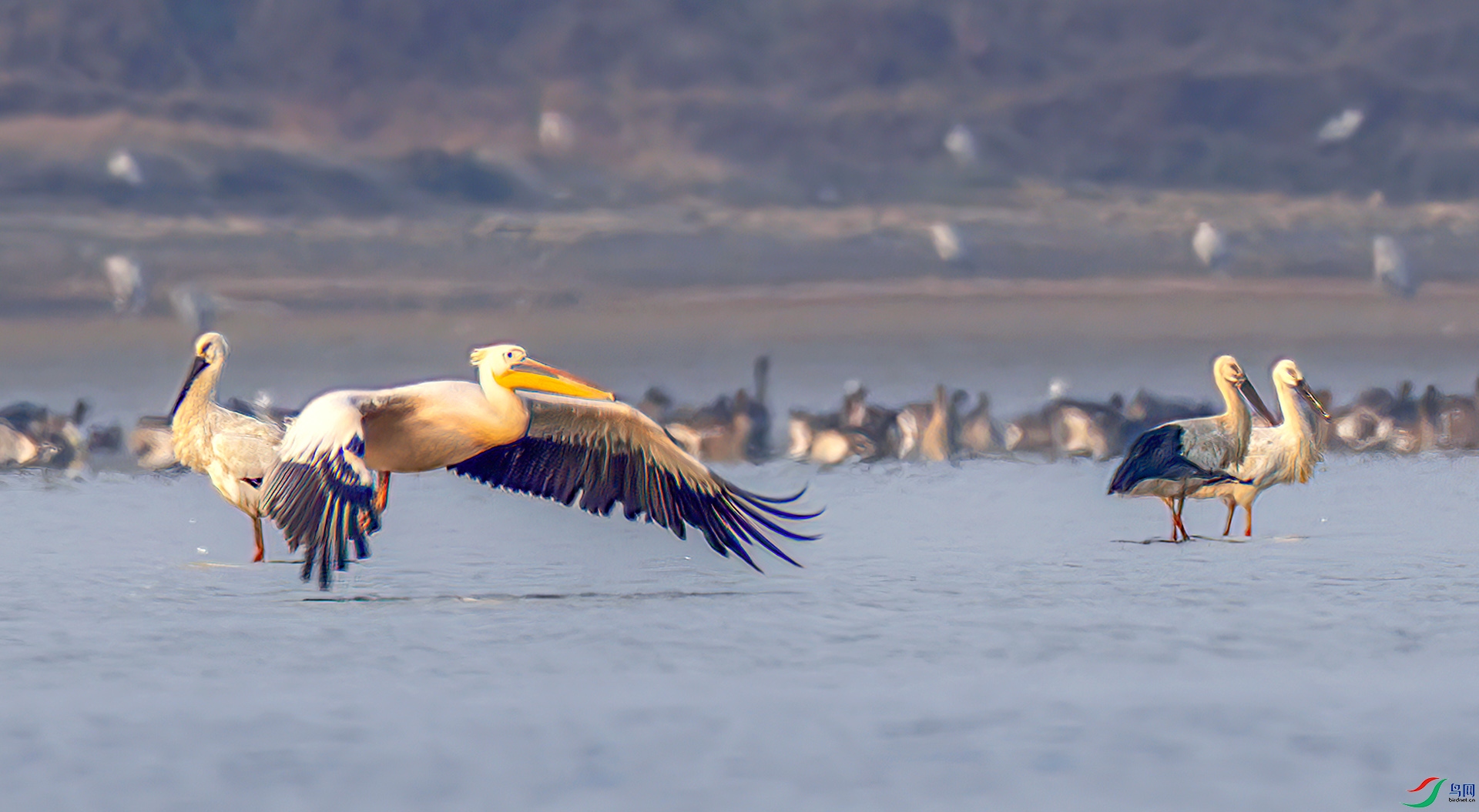 _07A7969------33  .jpg