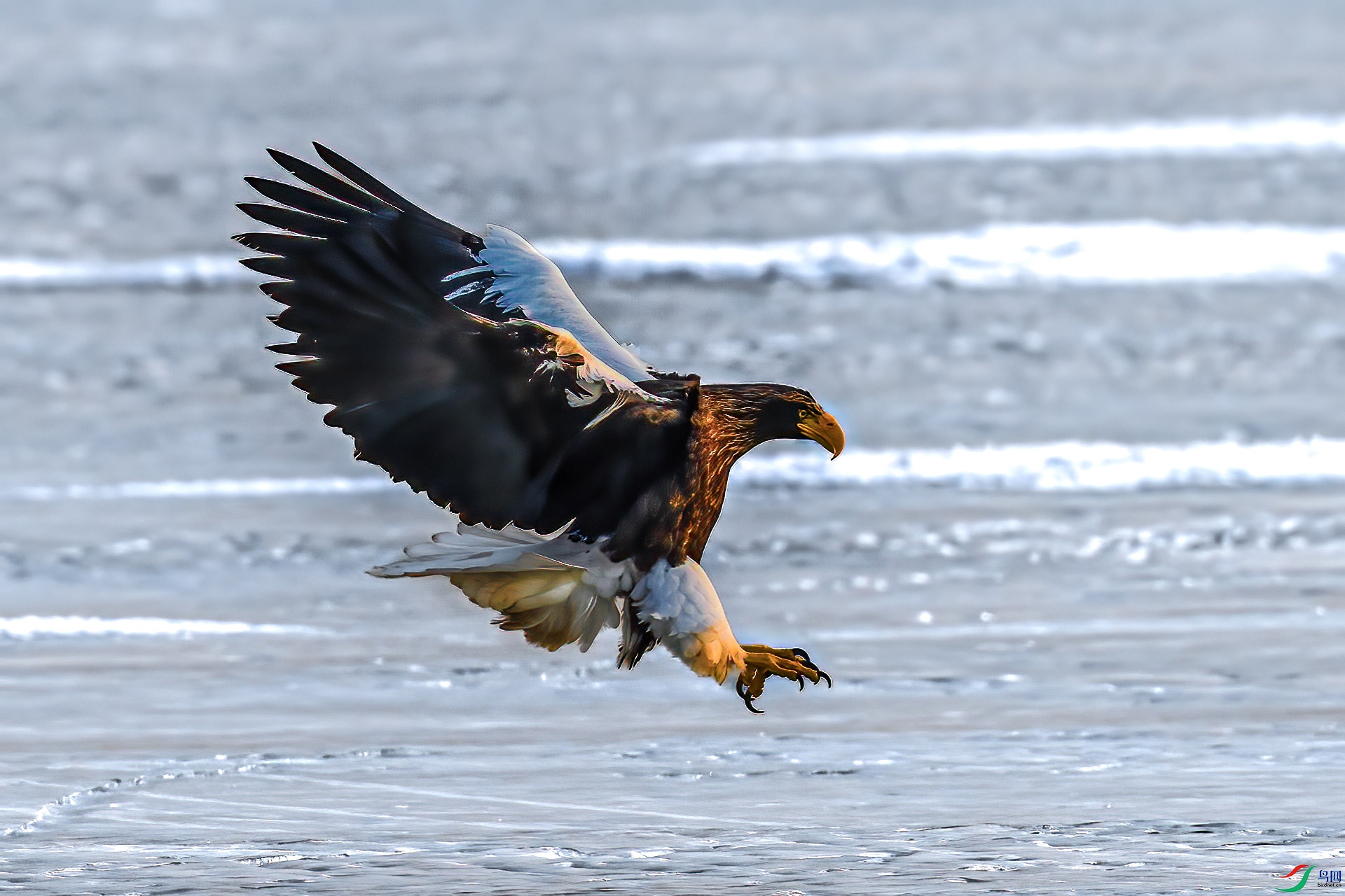 ��л��ʦ��ָ��