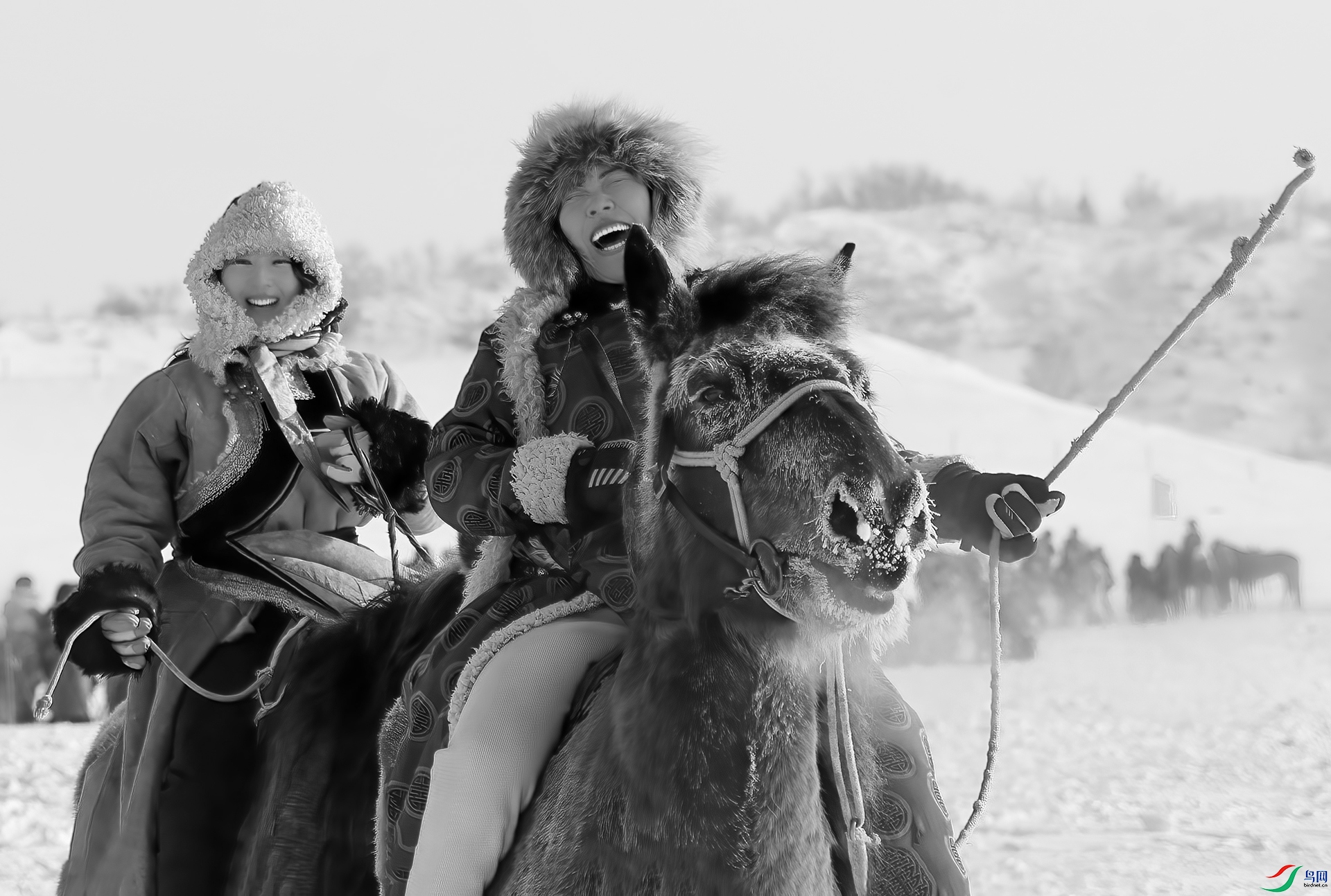 DSC_7941- ������Ц -AAA.jpg