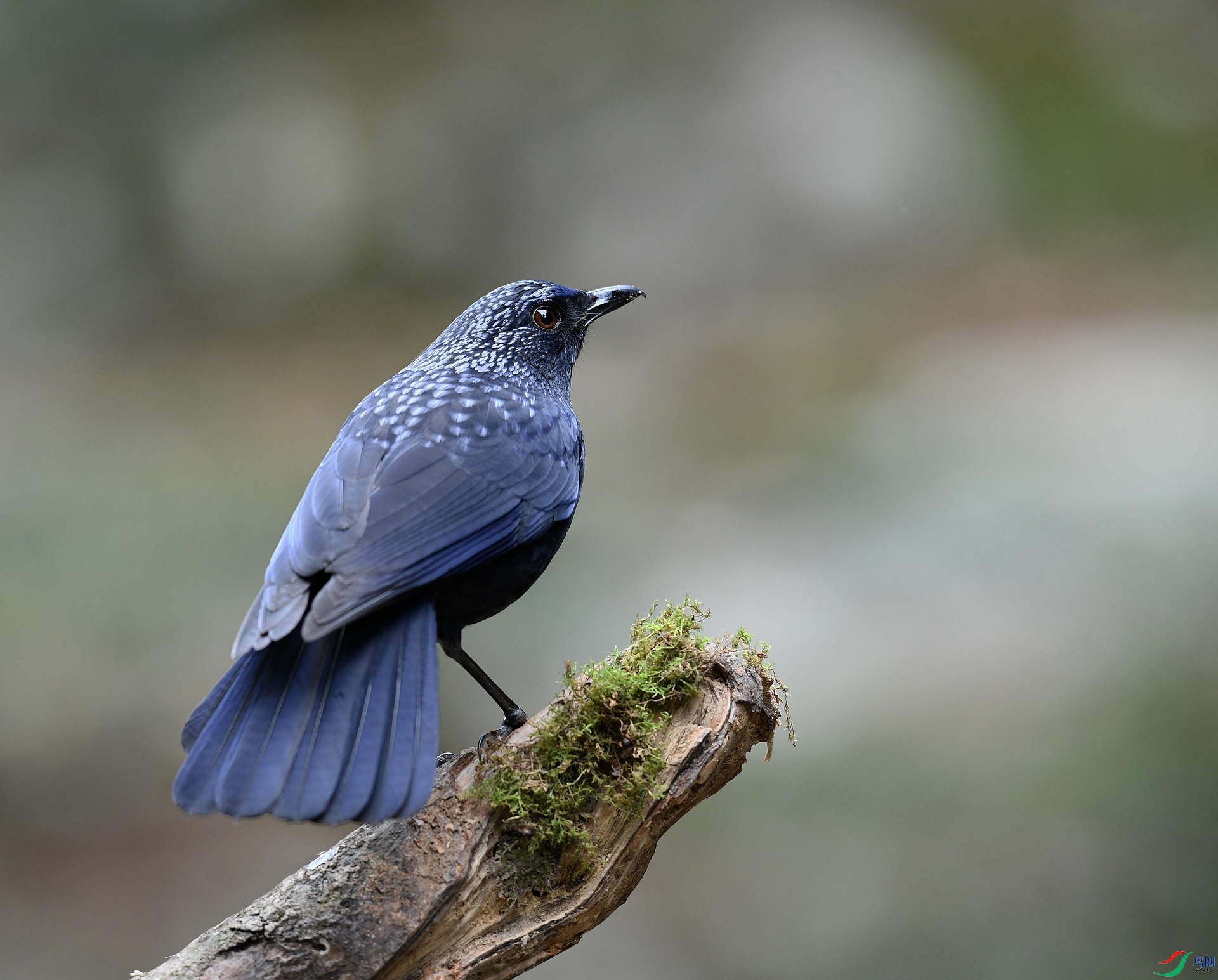 DSC_4906.jpg