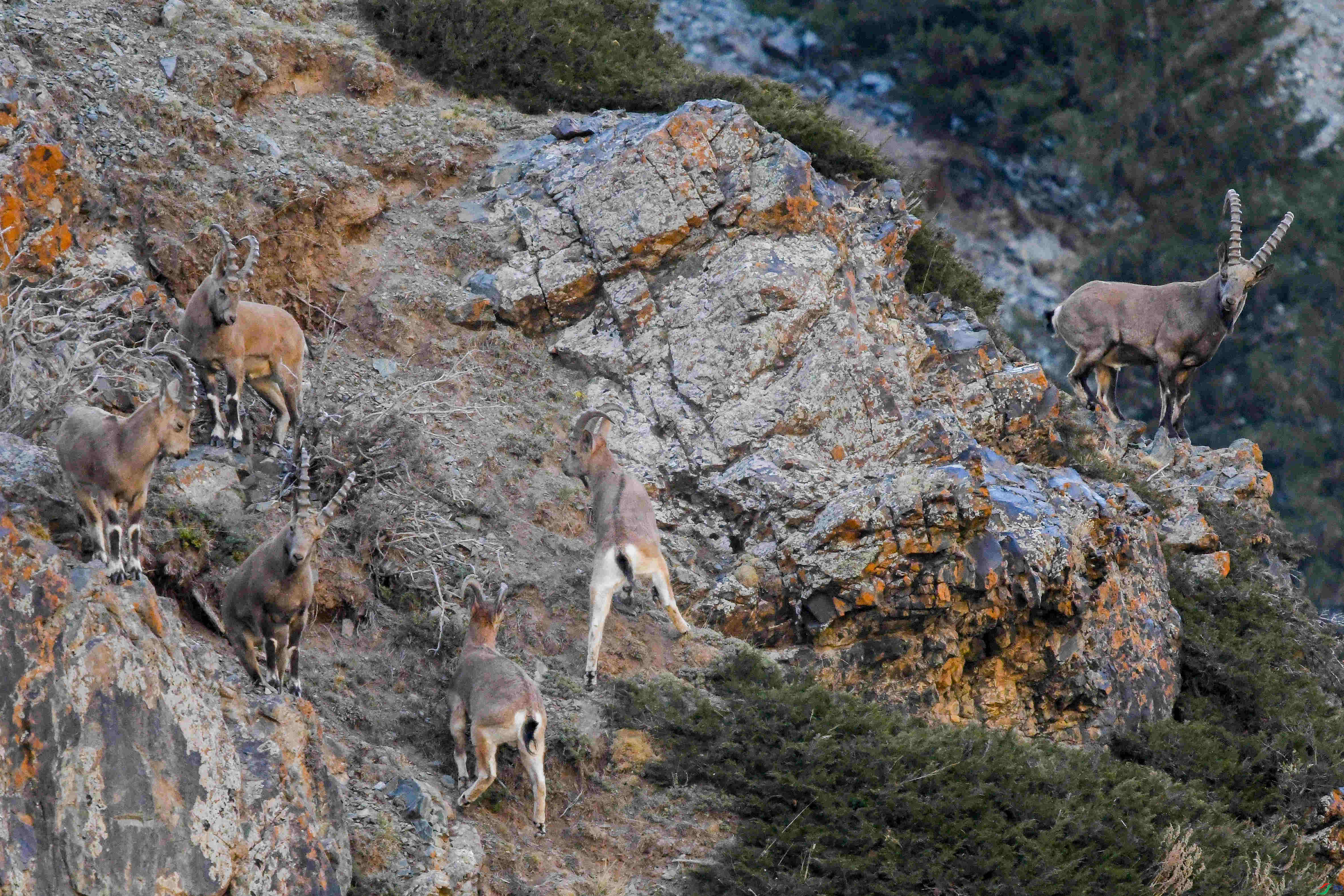 DSC_4107-2.jpg
