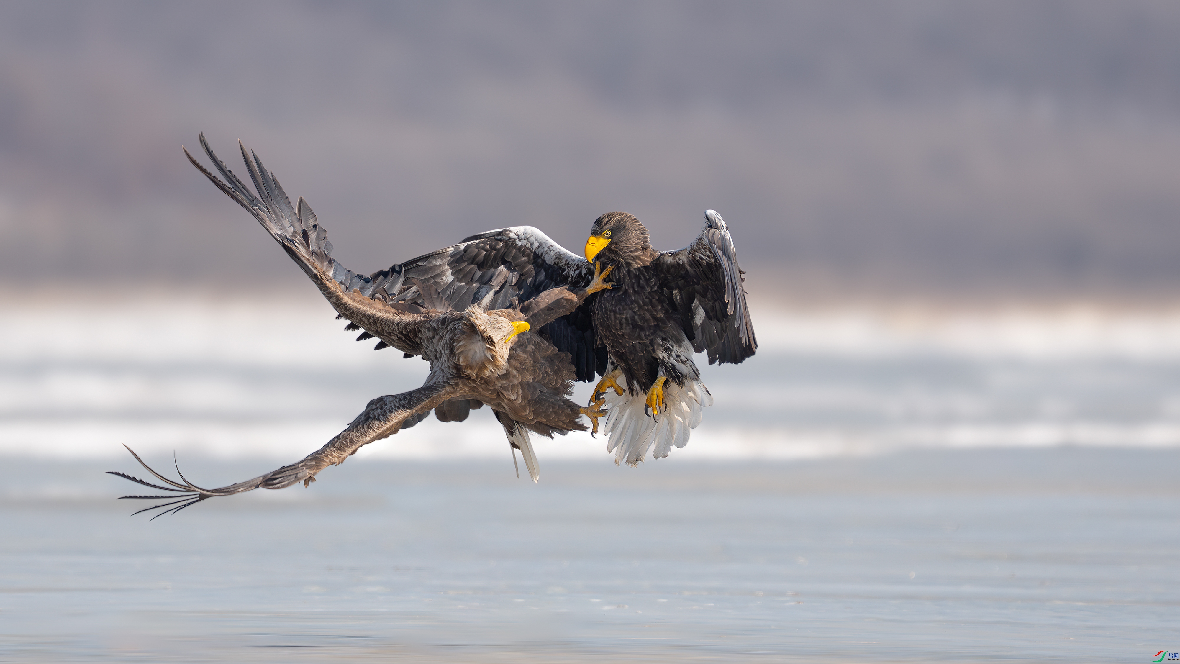 _DSC3219 ����.jpg