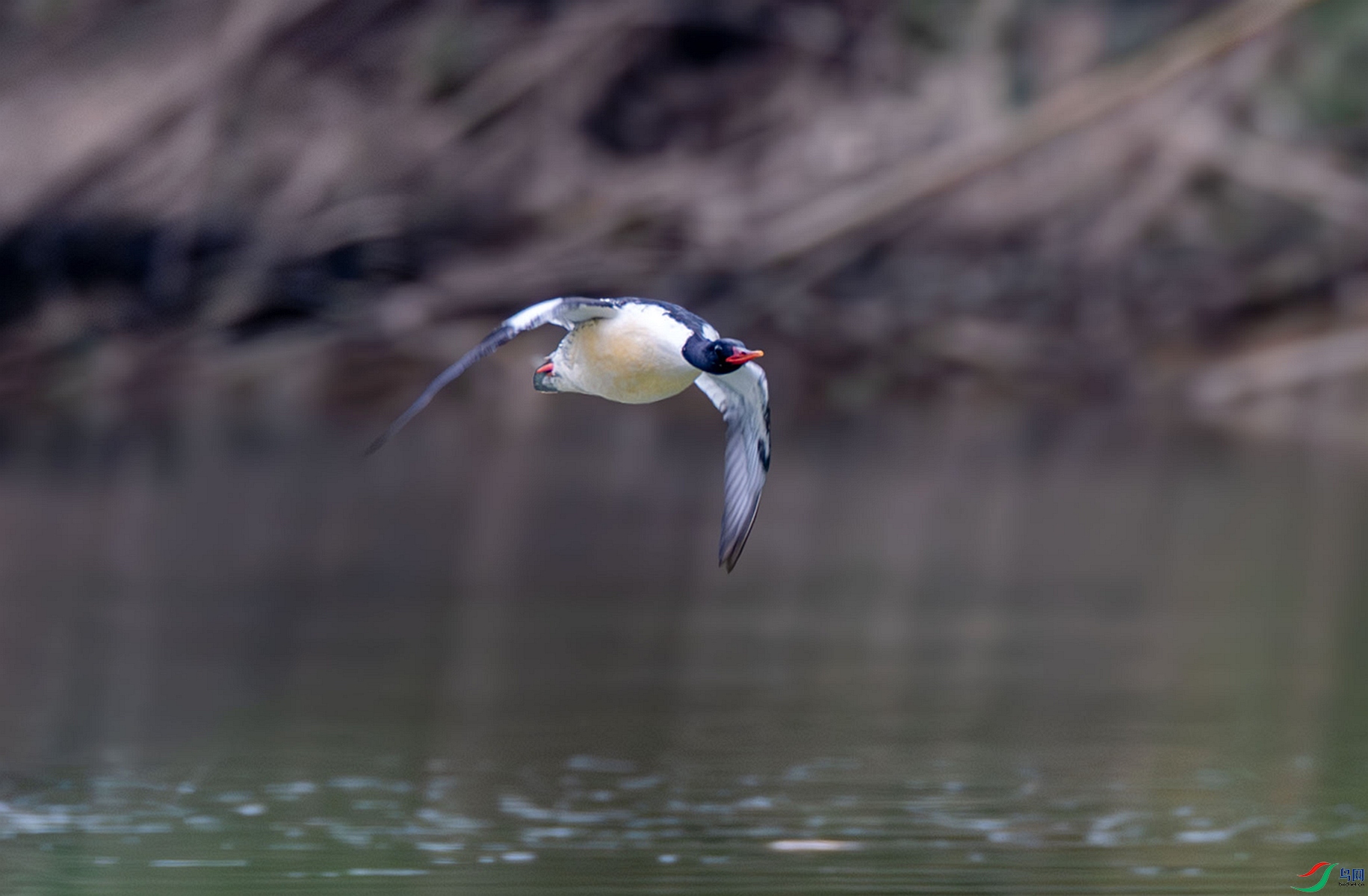 DSC_3254_����_����.jpg