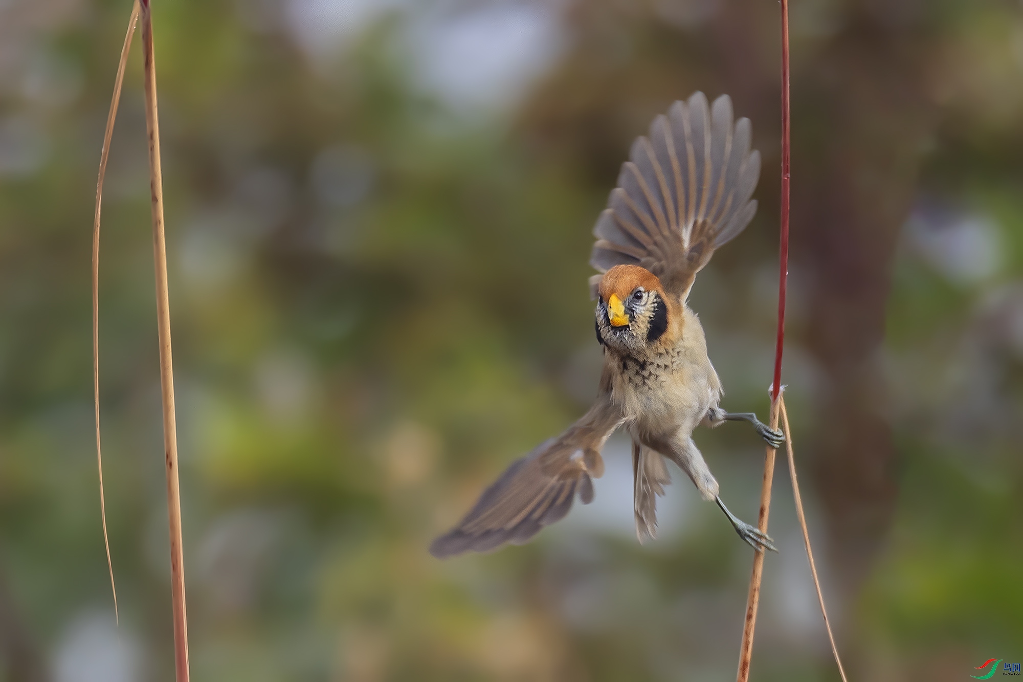 0F7A9101 ����.jpg